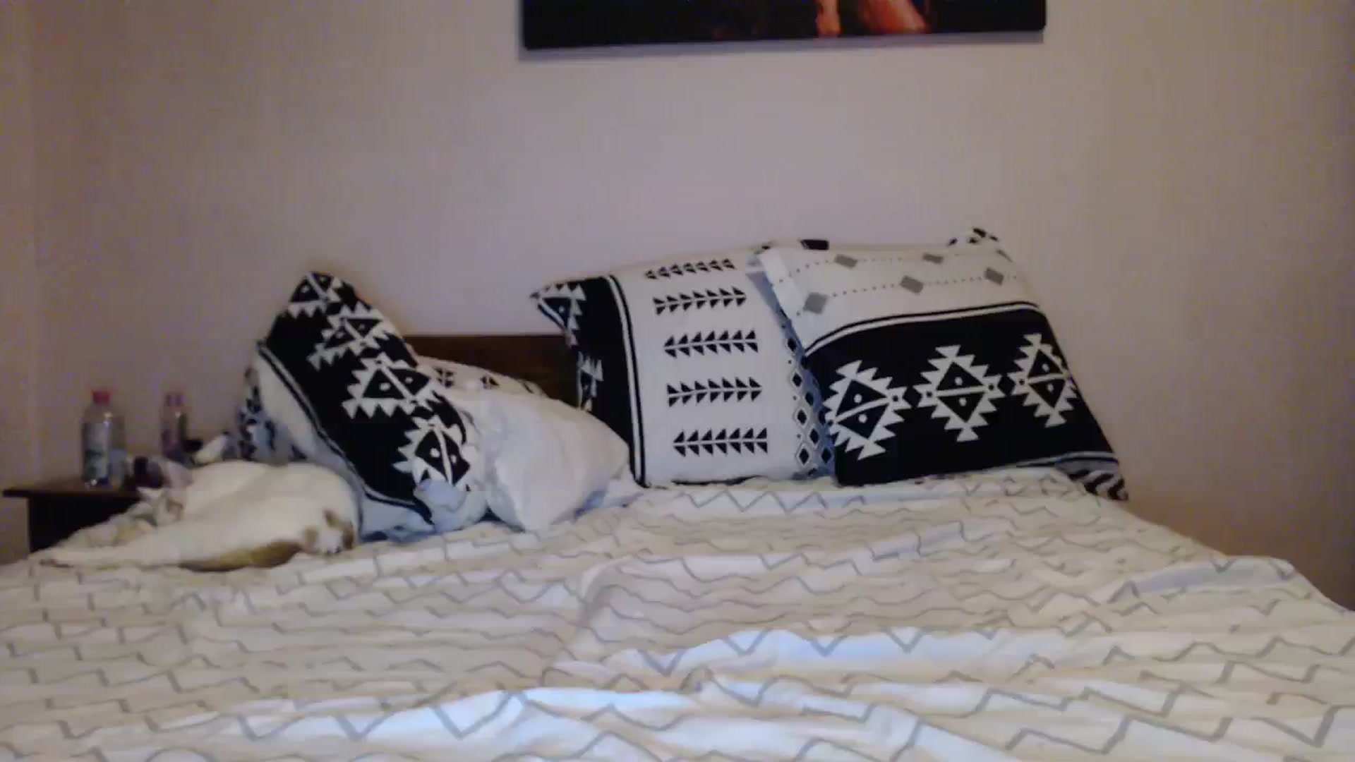 Gallery image thumbnail from Aahh_Emilia's myfreecams stream on, 12/06/2023, 18:25 image 16 of 20