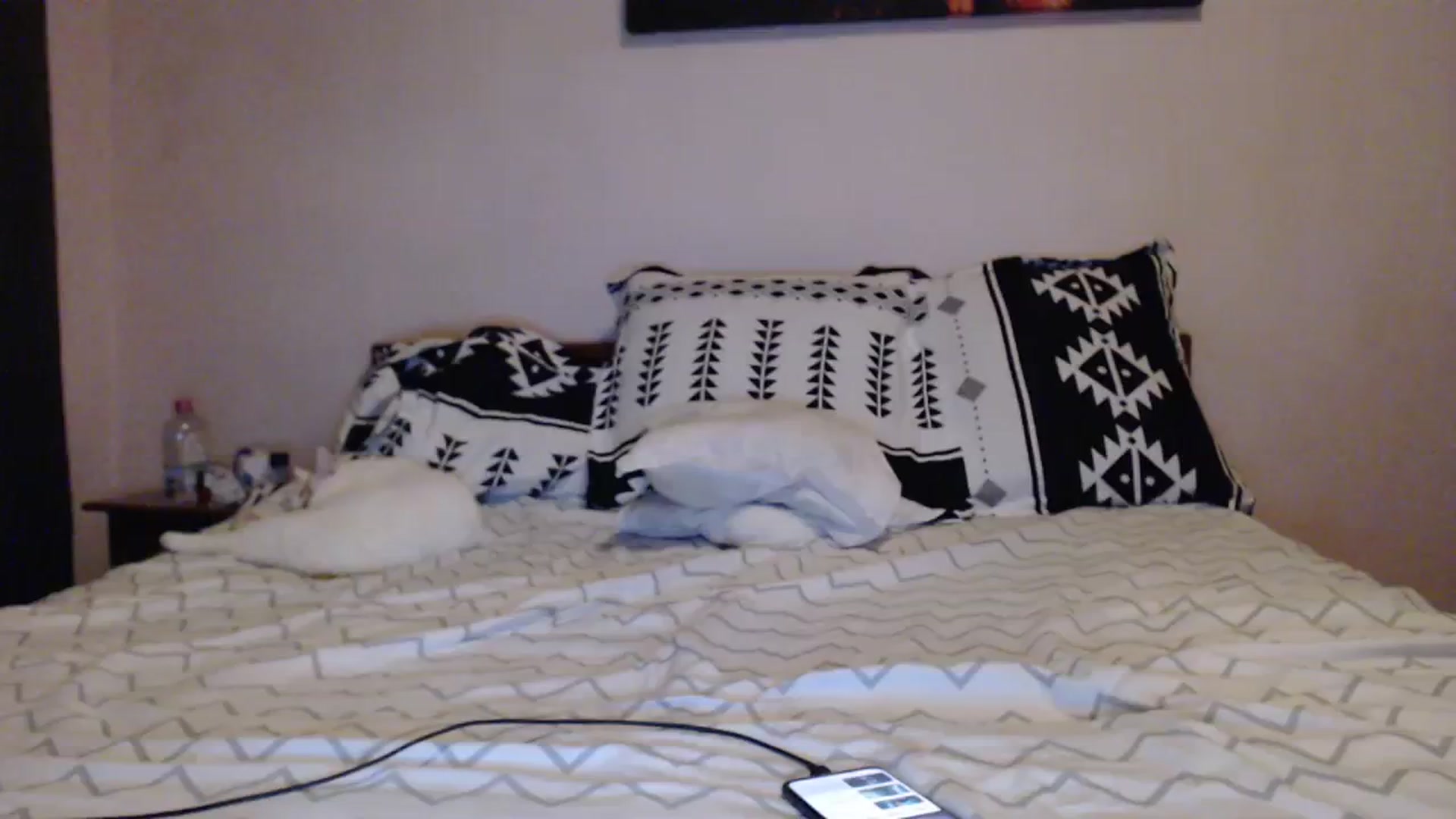 Gallery image thumbnail from Aahh_Emilia's myfreecams stream on, 12/07/2023, 17:12 image 14 of 20