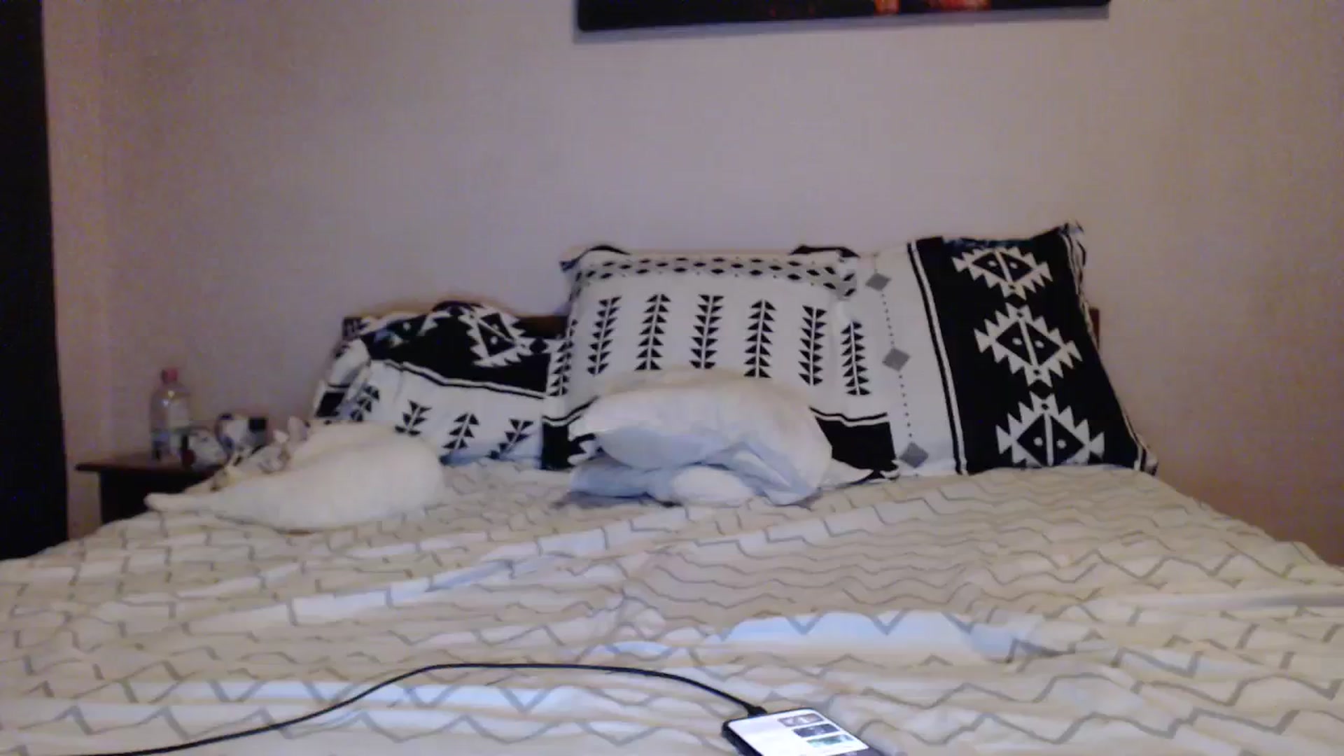 Gallery image thumbnail from Aahh_Emilia's myfreecams stream on, 12/07/2023, 17:12 image 15 of 20