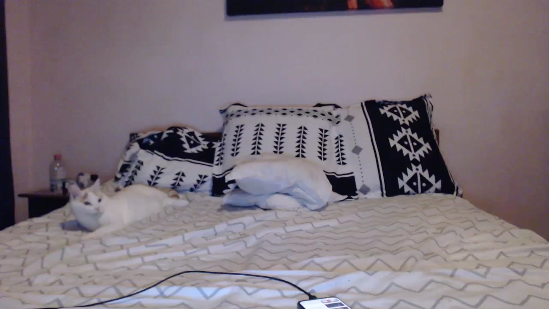 Gallery image thumbnail from Aahh_Emilia's myfreecams stream on, 12/07/2023, 17:12 image 4 of 20