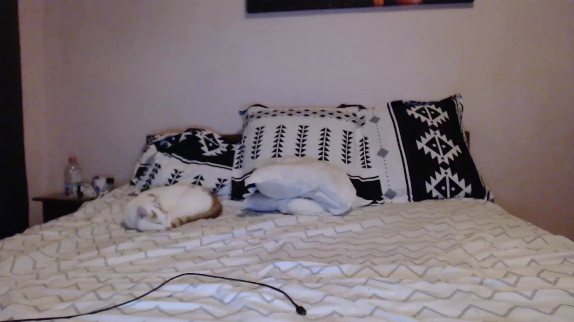 Gallery image thumbnail from Aahh_Emilia's myfreecams stream on, 12/07/2023, 17:12 image 7 of 20