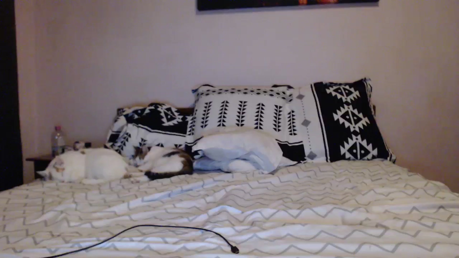 Gallery image thumbnail from Aahh_Emilia's myfreecams stream on, 12/07/2023, 17:12 image 20 of 20