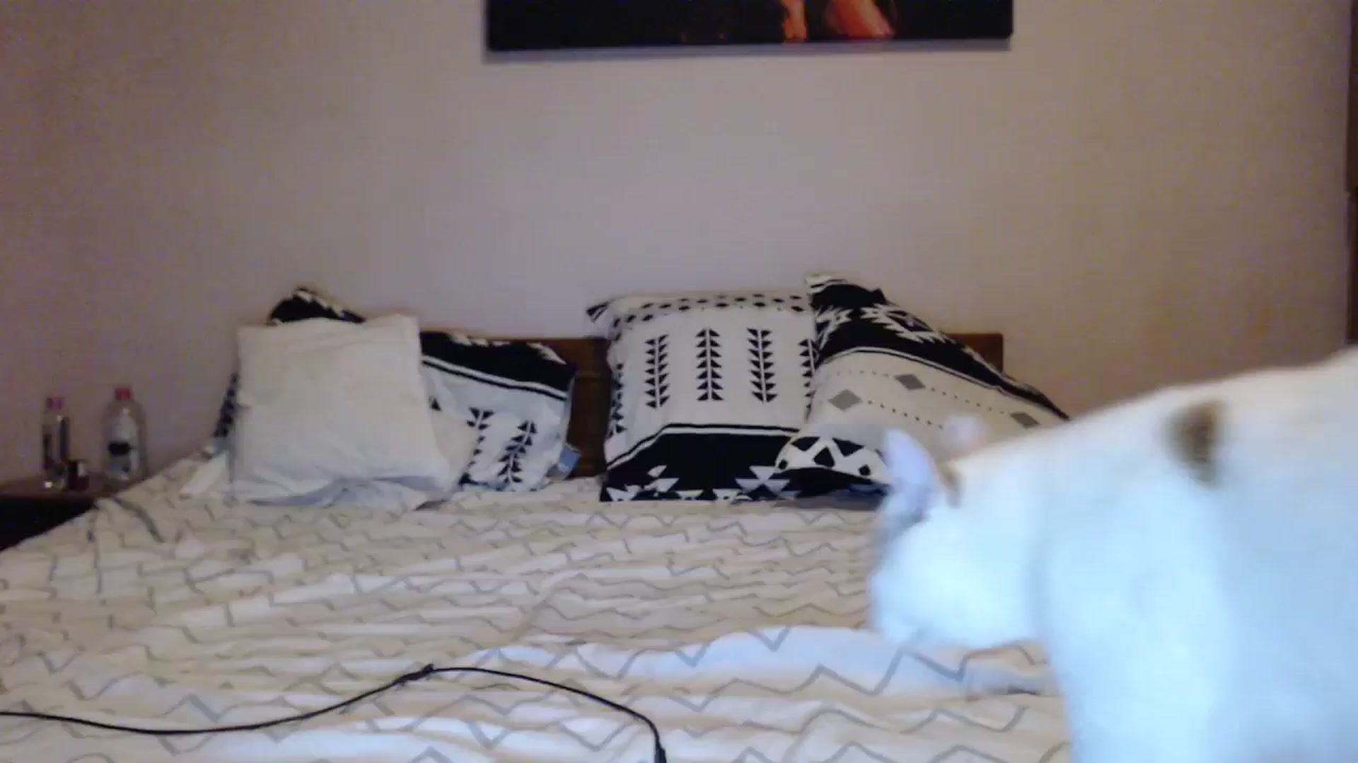 Gallery image thumbnail from Aahh_Emilia's myfreecams stream on, 12/10/2023, 16:33 image 17 of 20