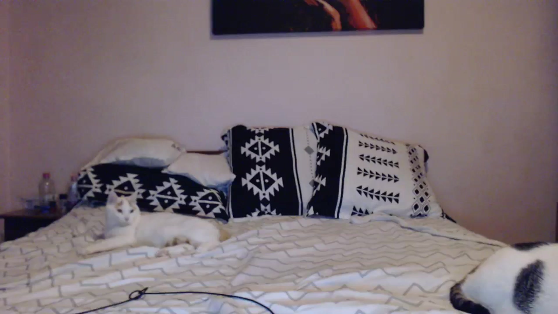 Gallery image thumbnail from Aahh_Emilia's myfreecams stream on, 12/11/2023, 17:06 image 7 of 20