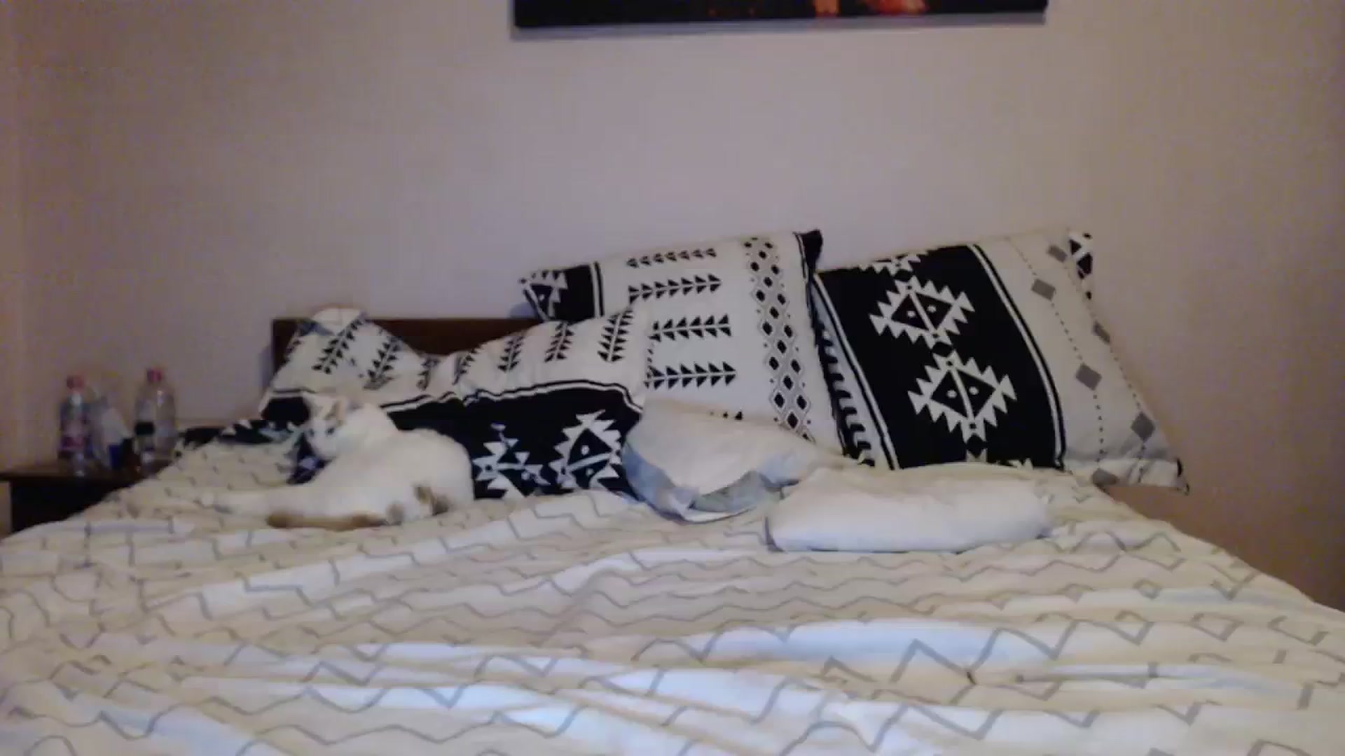 Gallery image thumbnail from Aahh_Emilia's myfreecams stream on, 12/12/2023, 19:31 image 12 of 20