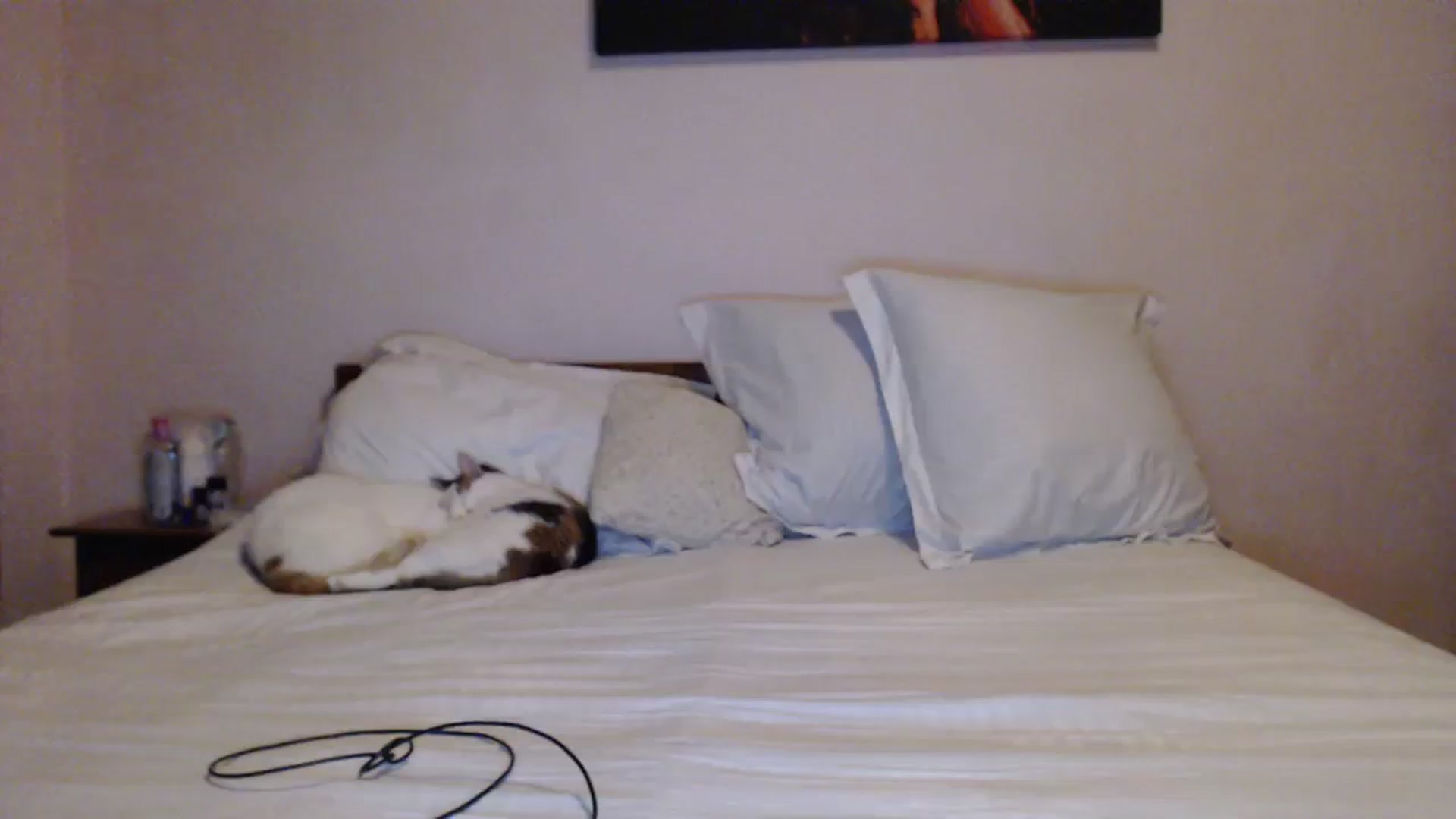 Gallery image thumbnail from Aahh_Emilia's myfreecams stream on, 12/13/2023, 16:42 image 18 of 20