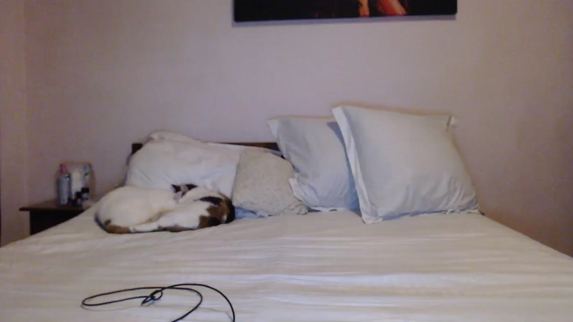Gallery image thumbnail from Aahh_Emilia's myfreecams stream on, 12/13/2023, 16:42 image 16 of 20