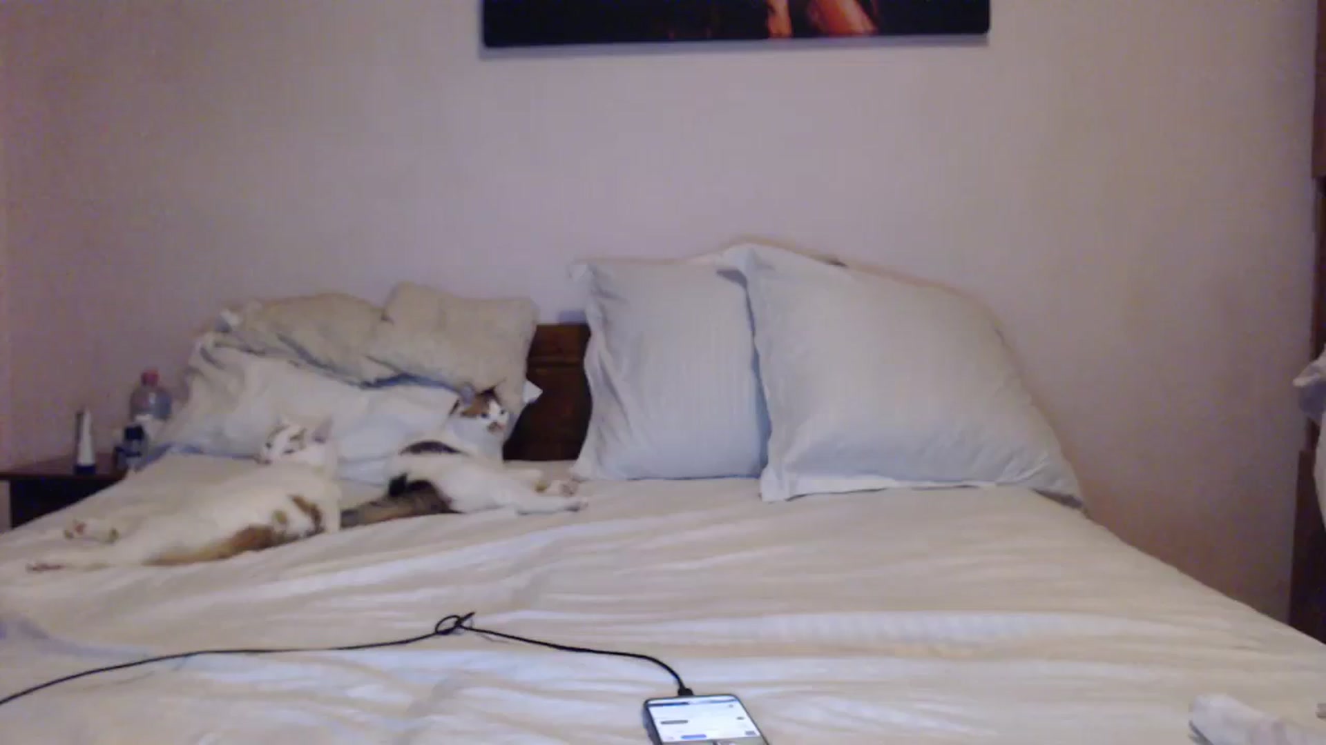 Gallery image thumbnail from Aahh_Emilia's myfreecams stream on, 12/14/2023, 16:40 image 17 of 20
