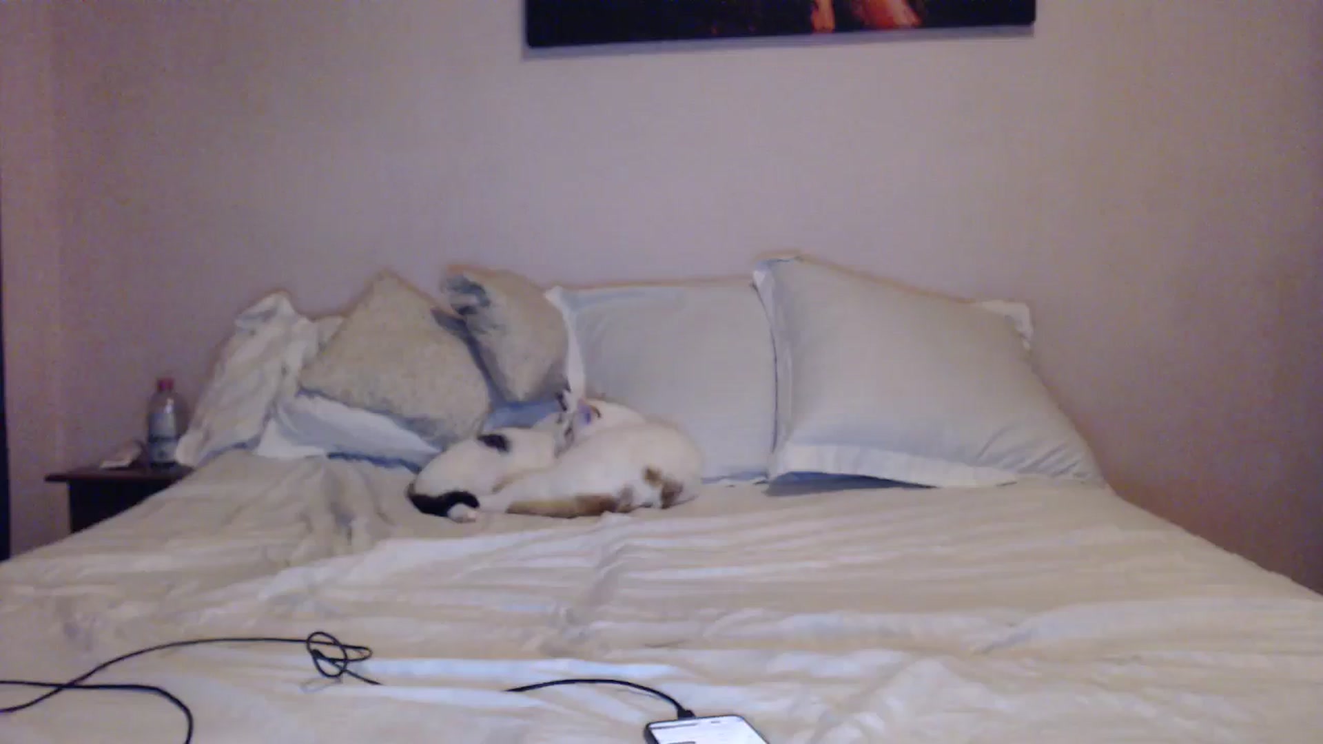 Gallery image thumbnail from Aahh_Emilia's myfreecams stream on, 12/19/2023, 16:51 image 14 of 20