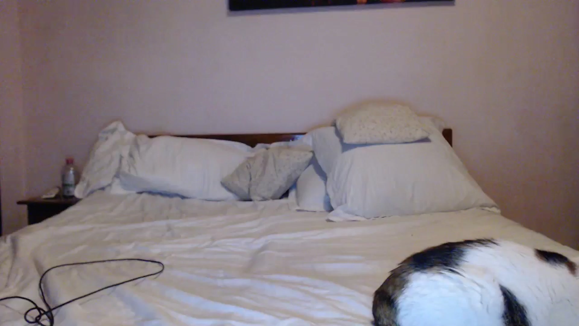 Gallery image thumbnail from Aahh_Emilia's myfreecams stream on, 12/19/2023, 19:00 image 17 of 20