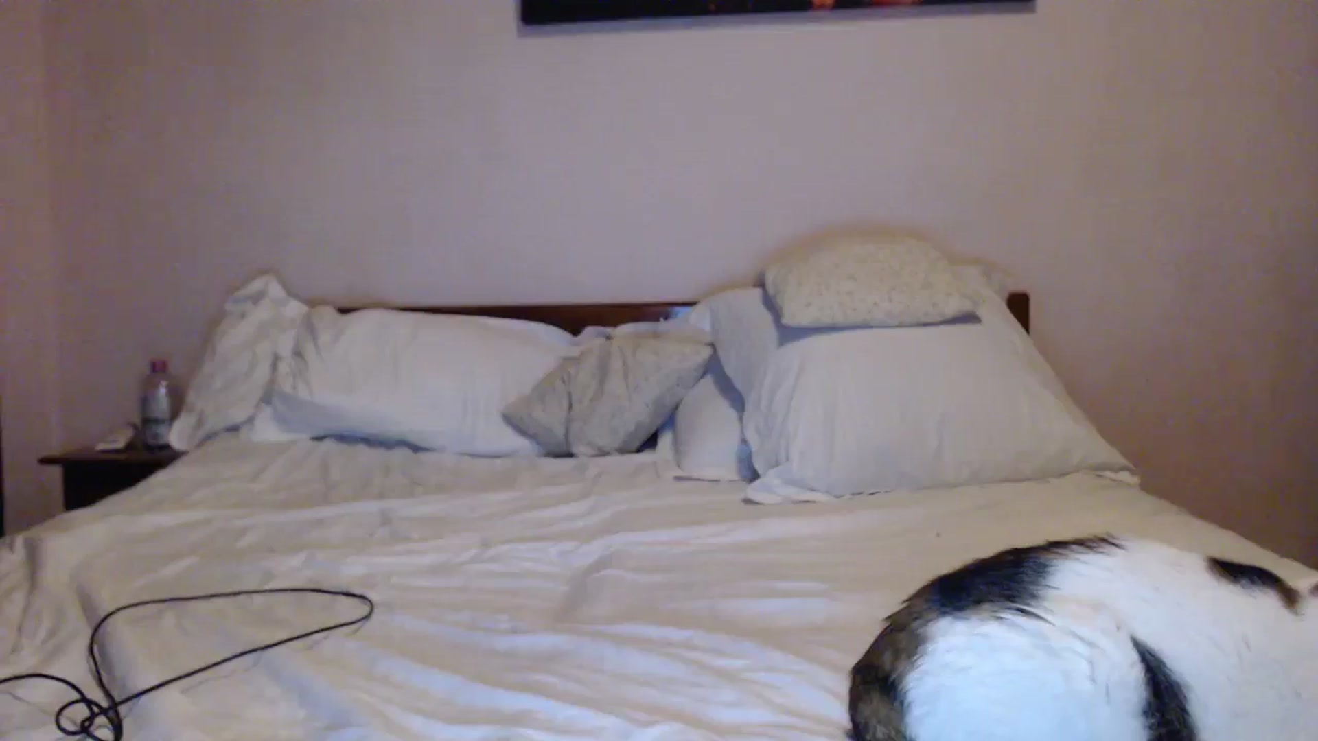 Gallery image thumbnail from Aahh_Emilia's myfreecams stream on, 12/19/2023, 19:00 image 15 of 20