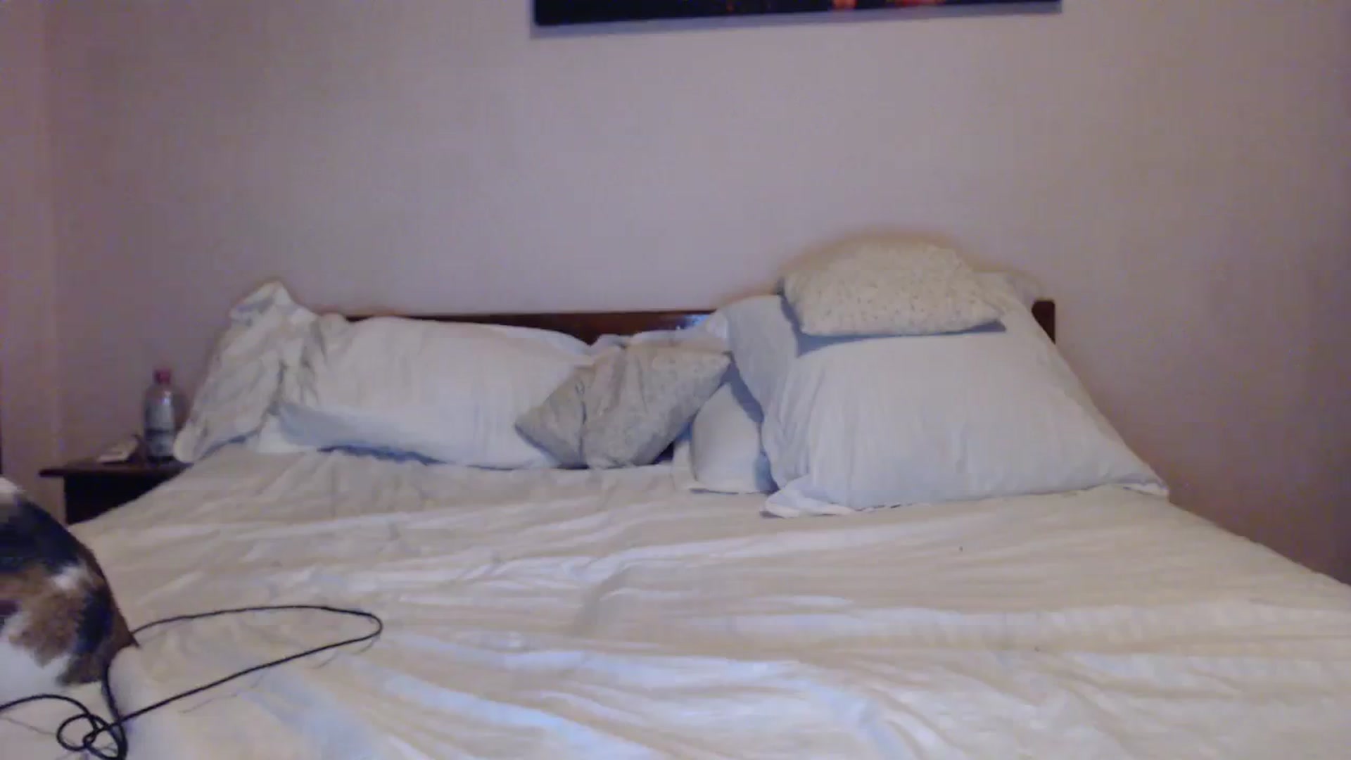 Gallery image thumbnail from Aahh_Emilia's myfreecams stream on, 12/19/2023, 19:00 image 10 of 20