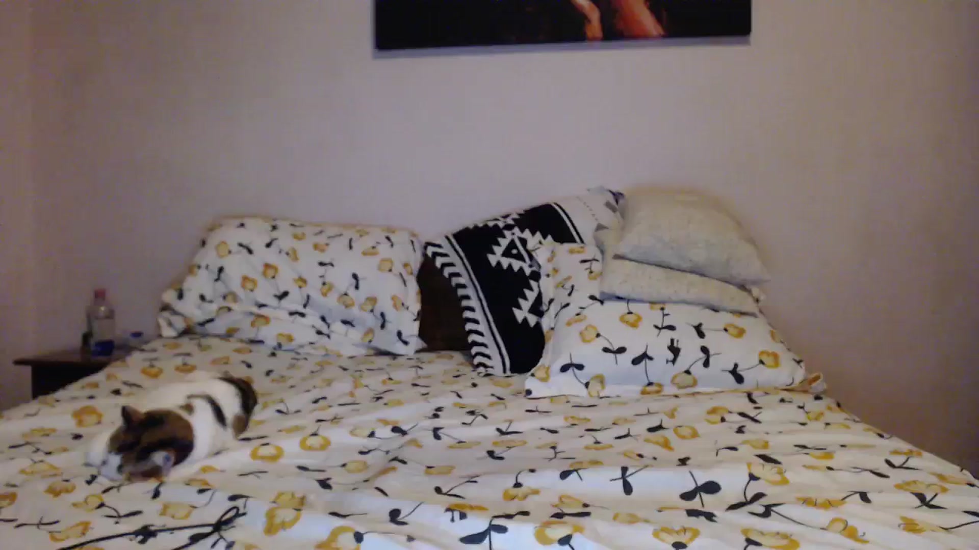 Gallery image thumbnail from Aahh_Emilia's myfreecams stream on, 01/10/2024, 18:52 image 18 of 20