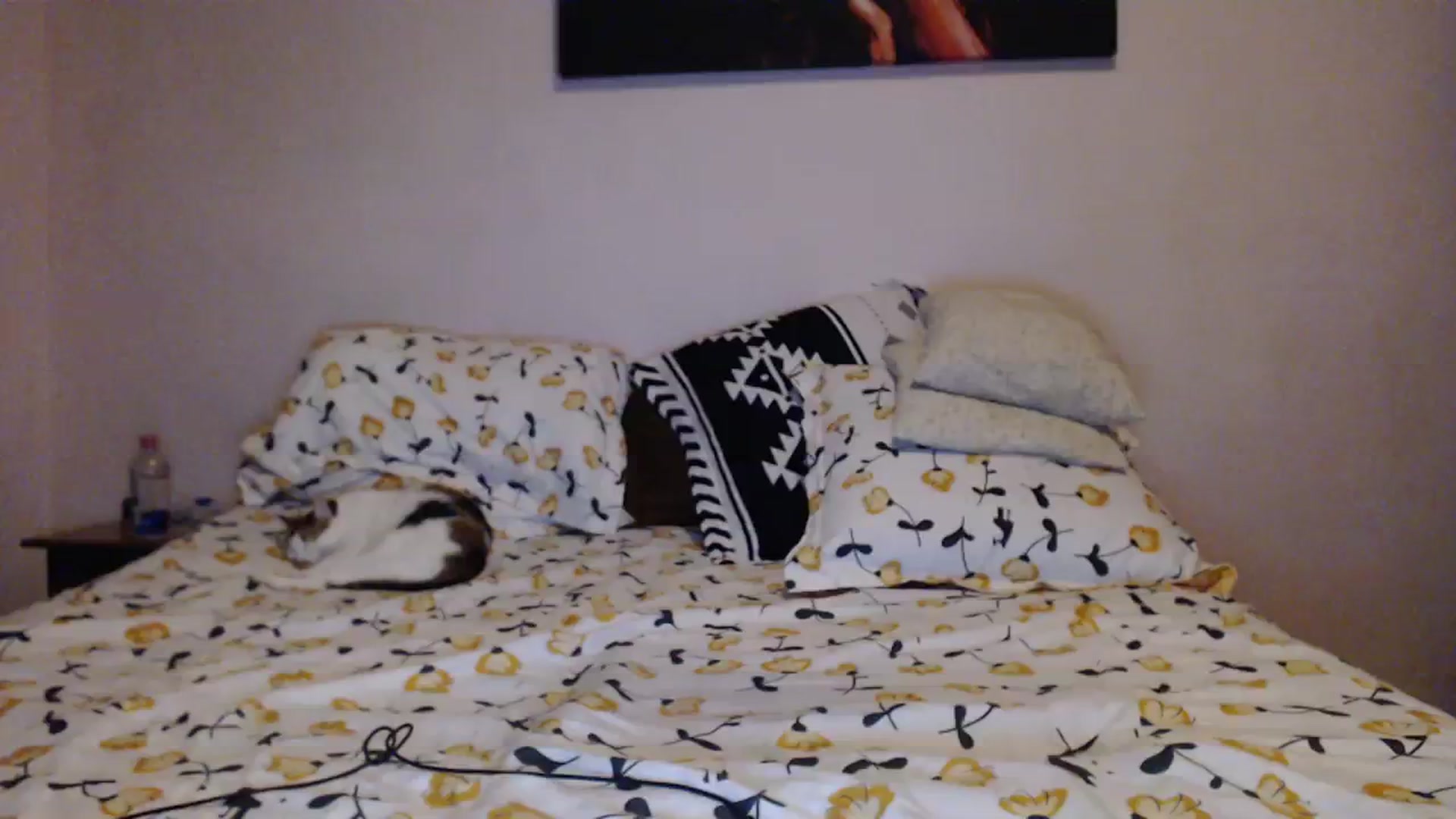 Gallery image thumbnail from Aahh_Emilia's myfreecams stream on, 01/10/2024, 18:52 image 4 of 20