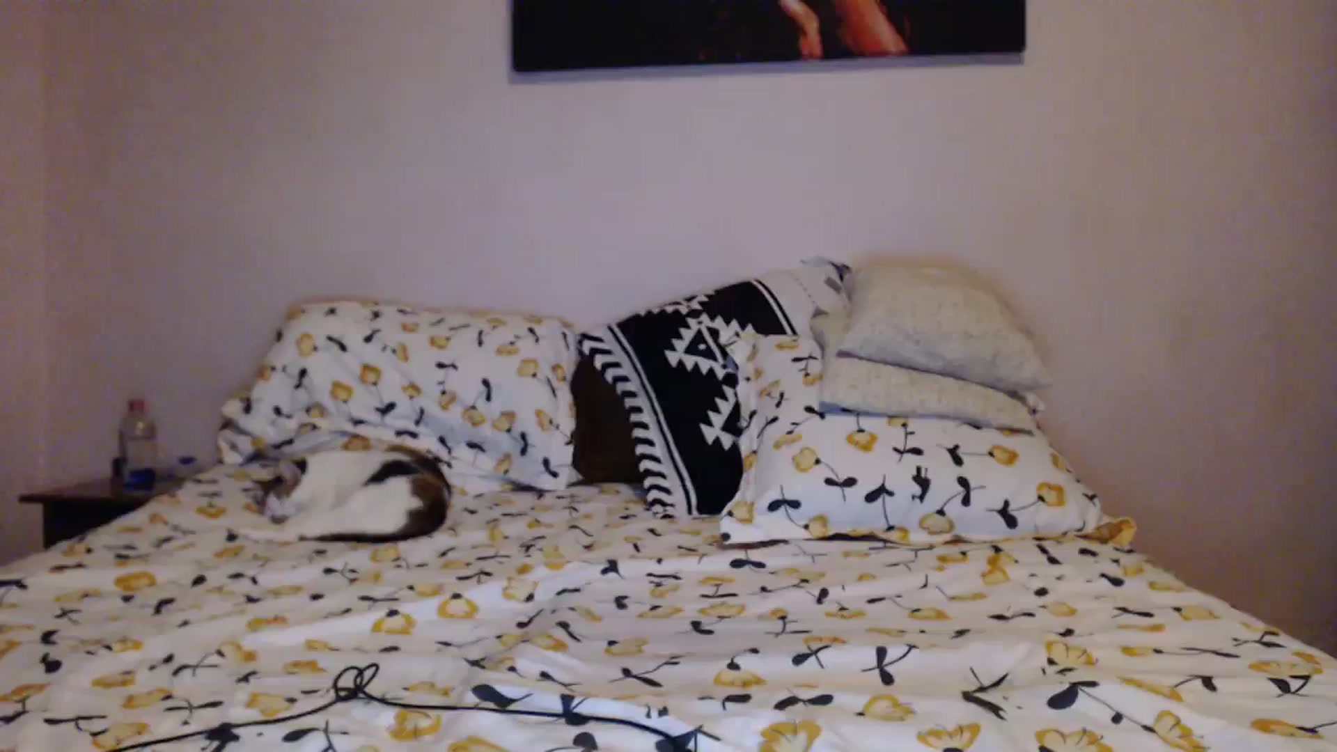Gallery image thumbnail from Aahh_Emilia's myfreecams stream on, 01/10/2024, 18:52 image 6 of 20
