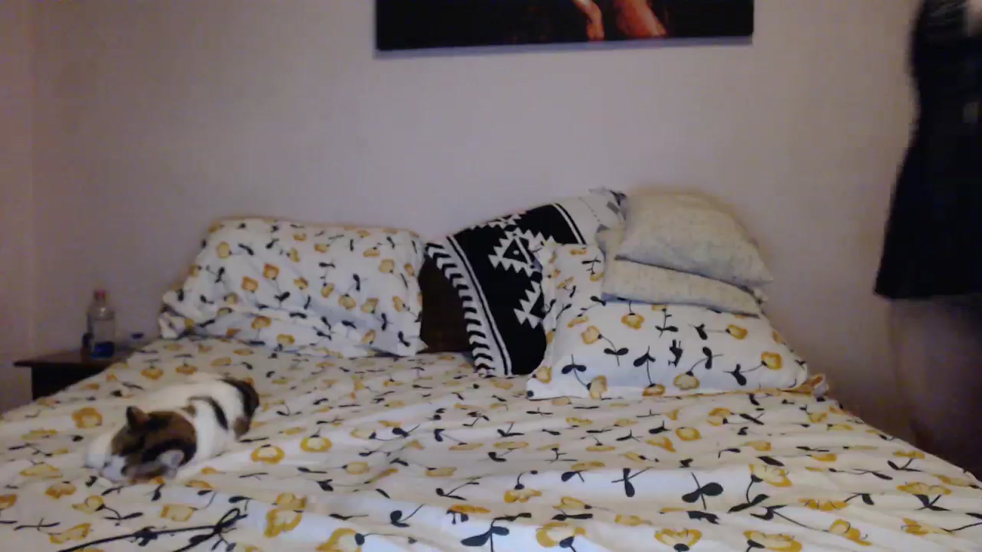 Gallery image thumbnail from Aahh_Emilia's myfreecams stream on, 01/10/2024, 18:52 image 19 of 20