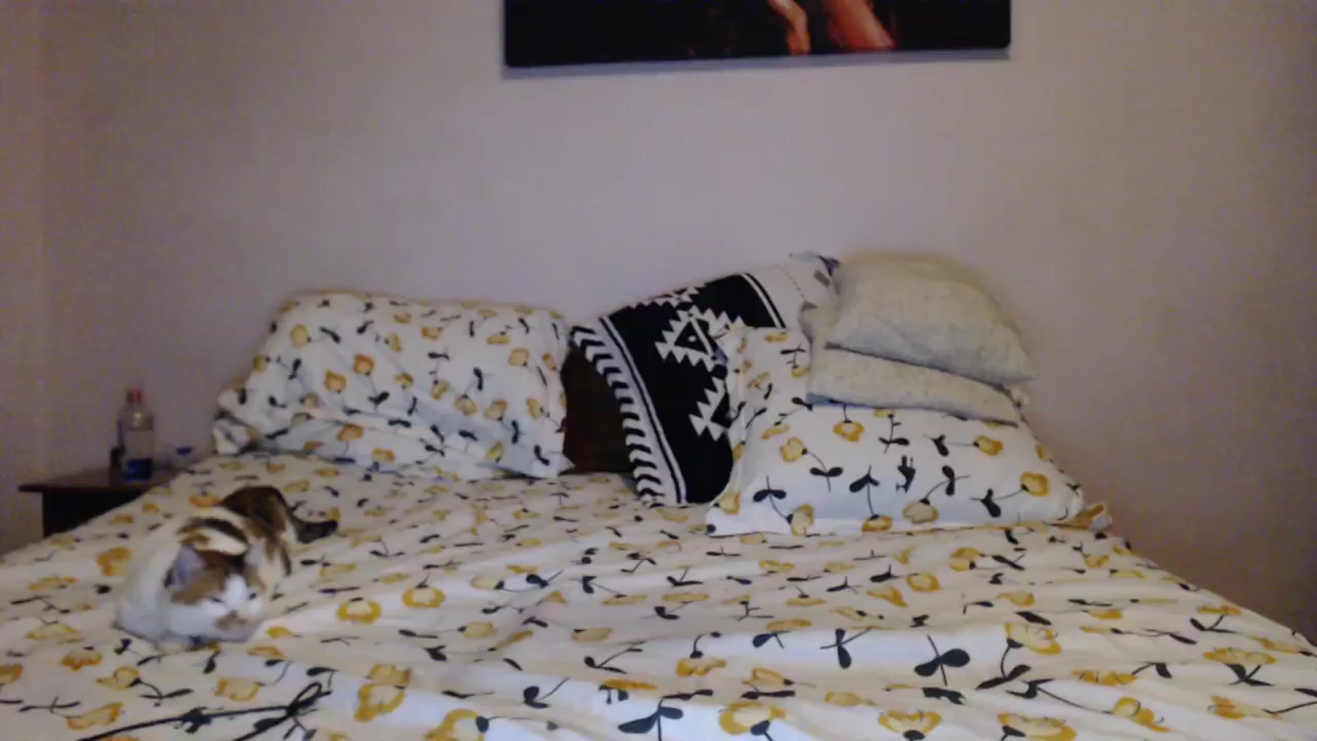Gallery image thumbnail from Aahh_Emilia's myfreecams stream on, 01/10/2024, 18:52 image 16 of 20