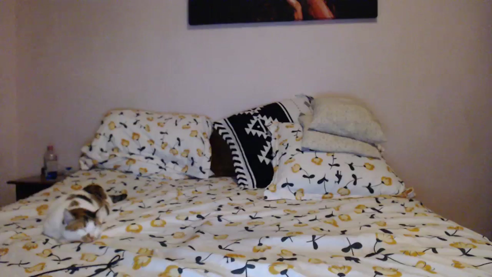 Gallery image thumbnail from Aahh_Emilia's myfreecams stream on, 01/10/2024, 18:52 image 17 of 20