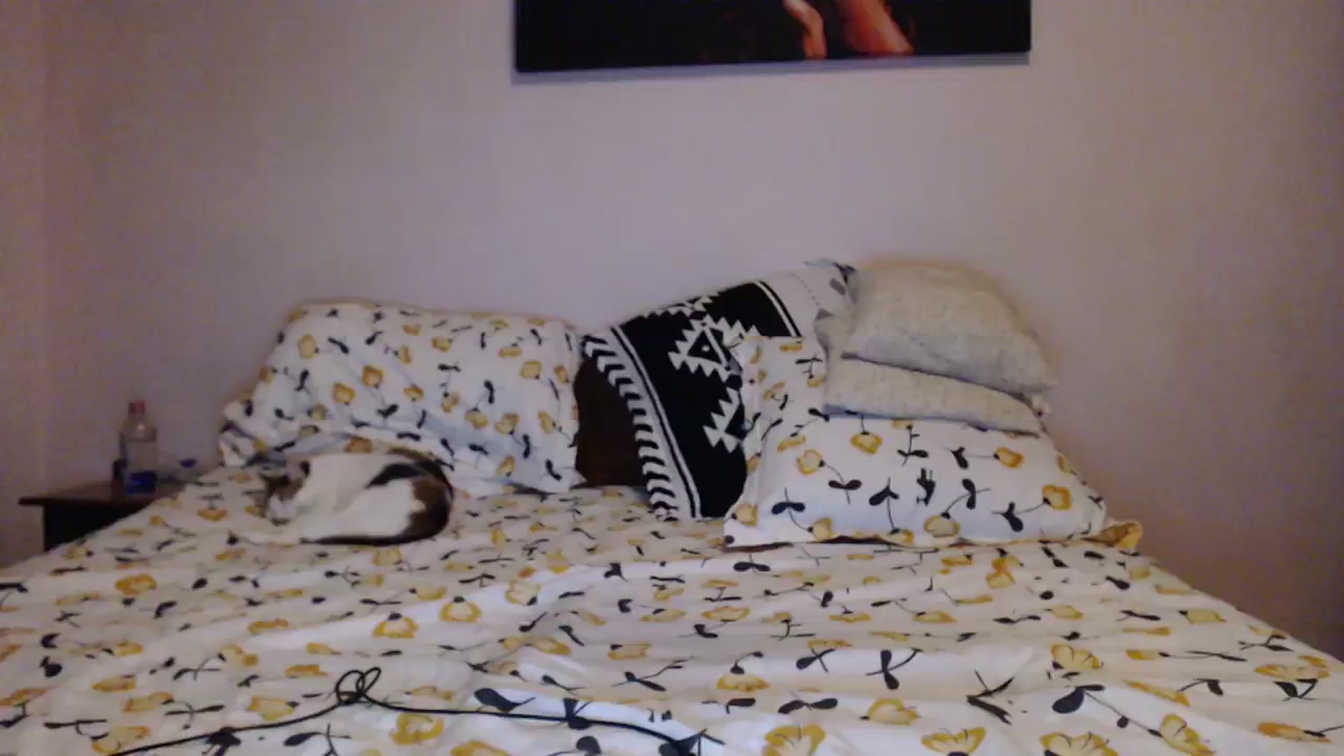 Gallery image thumbnail from Aahh_Emilia's myfreecams stream on, 01/10/2024, 18:52 image 5 of 20