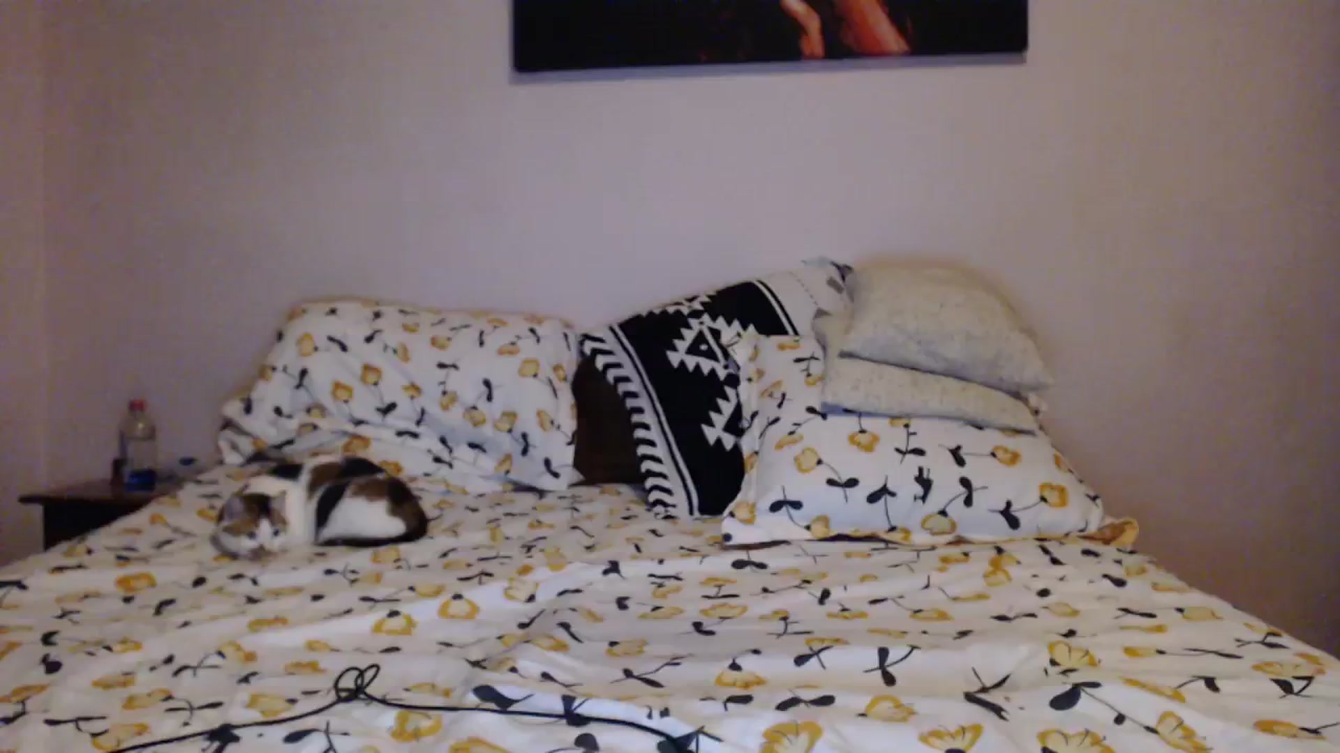 Gallery image thumbnail from Aahh_Emilia's myfreecams stream on, 01/10/2024, 18:52 image 7 of 20