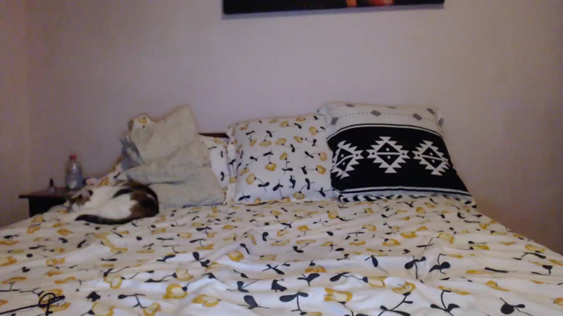 Gallery image thumbnail from Aahh_Emilia's myfreecams stream on, 01/11/2024, 16:40 image 7 of 20