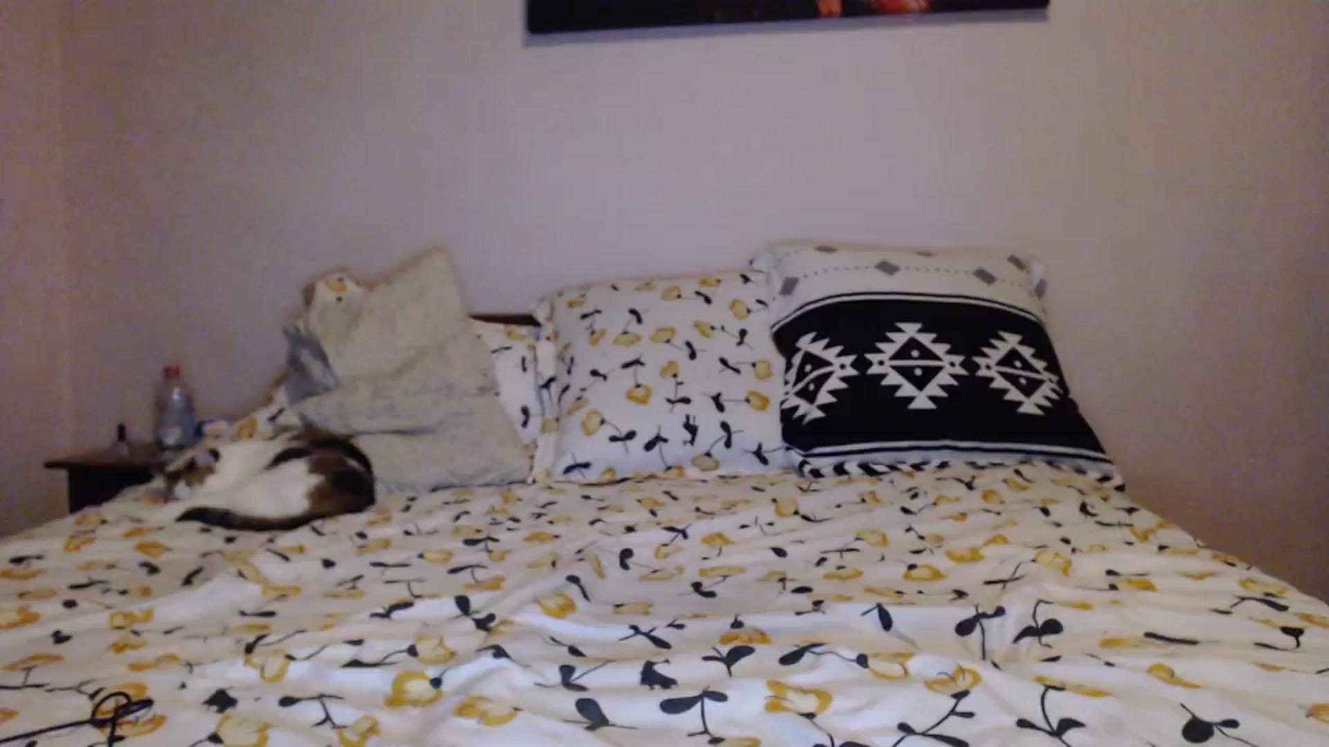 Gallery image thumbnail from Aahh_Emilia's myfreecams stream on, 01/11/2024, 16:40 image 10 of 20