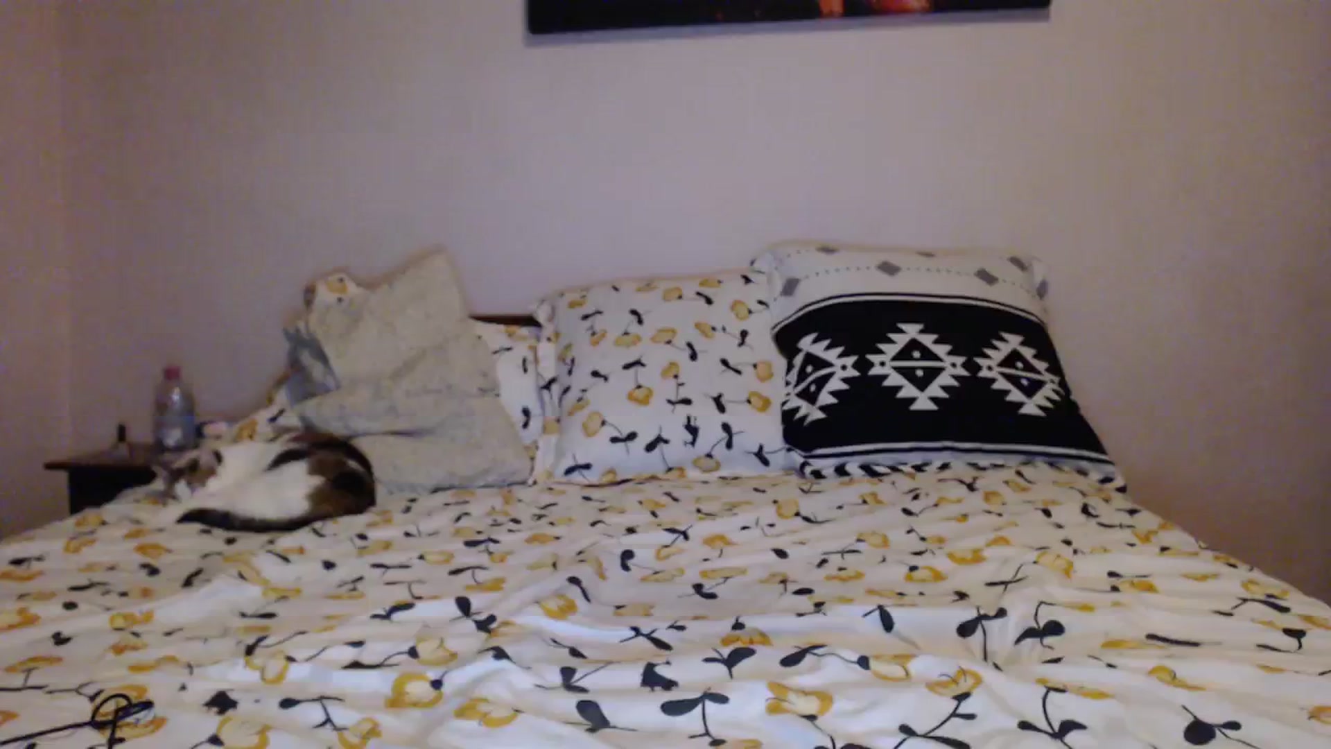Gallery image thumbnail from Aahh_Emilia's myfreecams stream on, 01/11/2024, 16:40 image 15 of 20