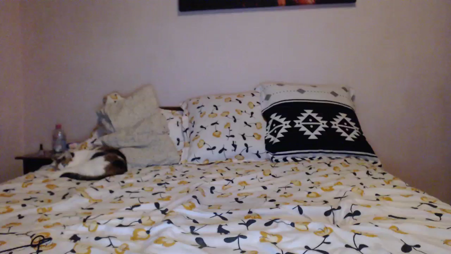 Gallery image thumbnail from Aahh_Emilia's myfreecams stream on, 01/11/2024, 16:40 image 14 of 20