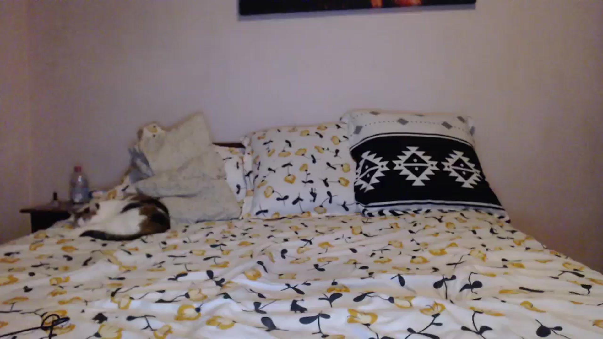 Gallery image thumbnail from Aahh_Emilia's myfreecams stream on, 01/11/2024, 16:40 image 12 of 20
