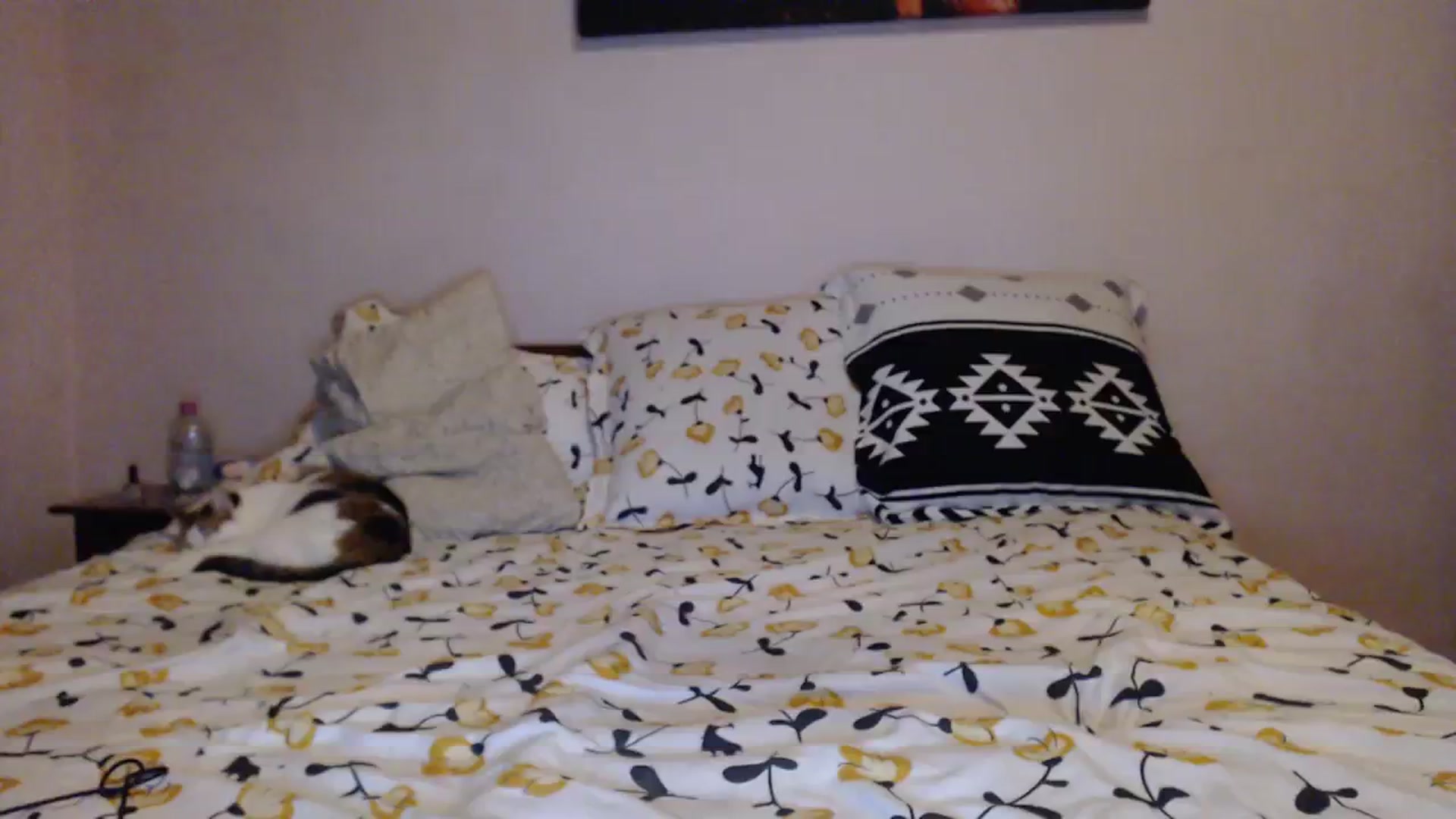 Gallery image thumbnail from Aahh_Emilia's myfreecams stream on, 01/11/2024, 16:40 image 1 of 20