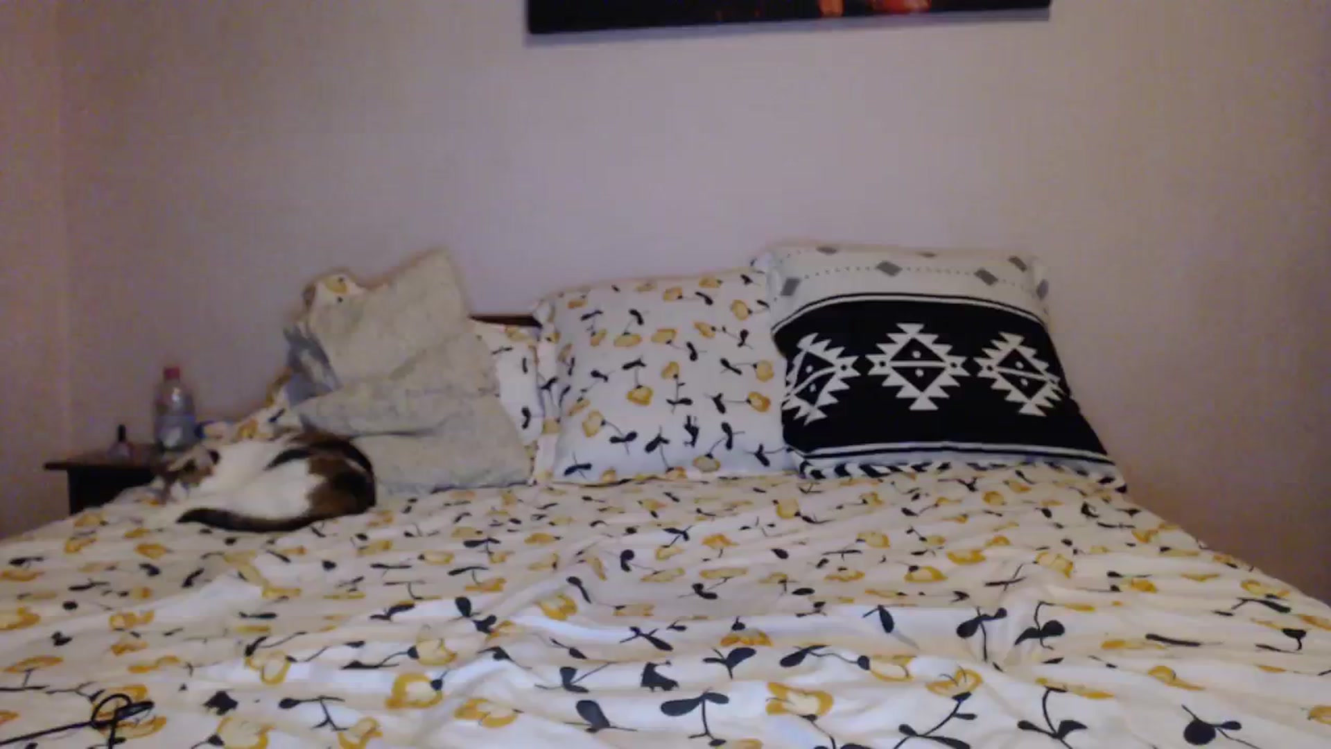 Gallery image thumbnail from Aahh_Emilia's myfreecams stream on, 01/11/2024, 16:40 image 8 of 20