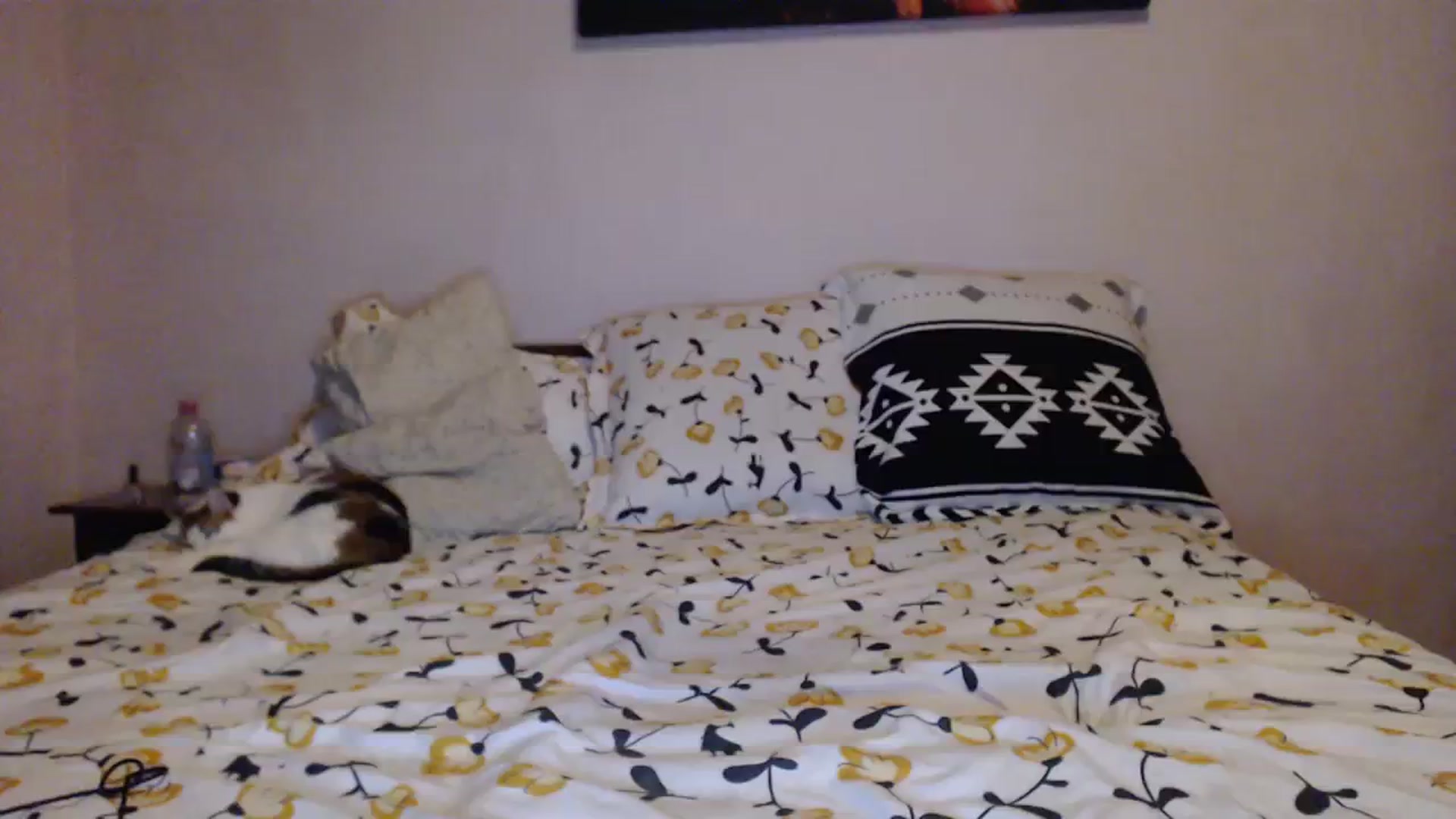 Gallery image thumbnail from Aahh_Emilia's myfreecams stream on, 01/11/2024, 16:40 image 13 of 20