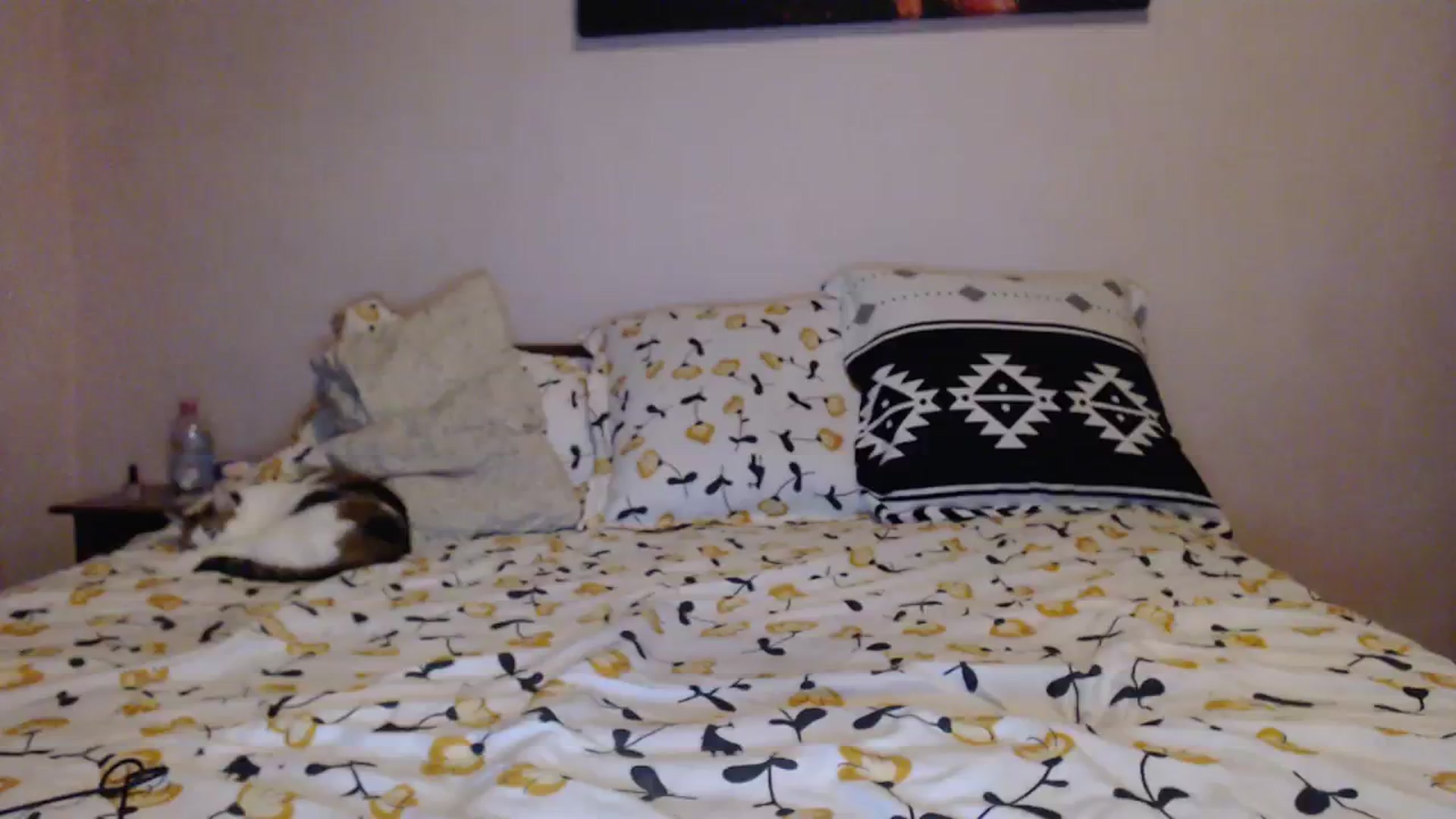Gallery image thumbnail from Aahh_Emilia's myfreecams stream on, 01/11/2024, 16:40 image 9 of 20