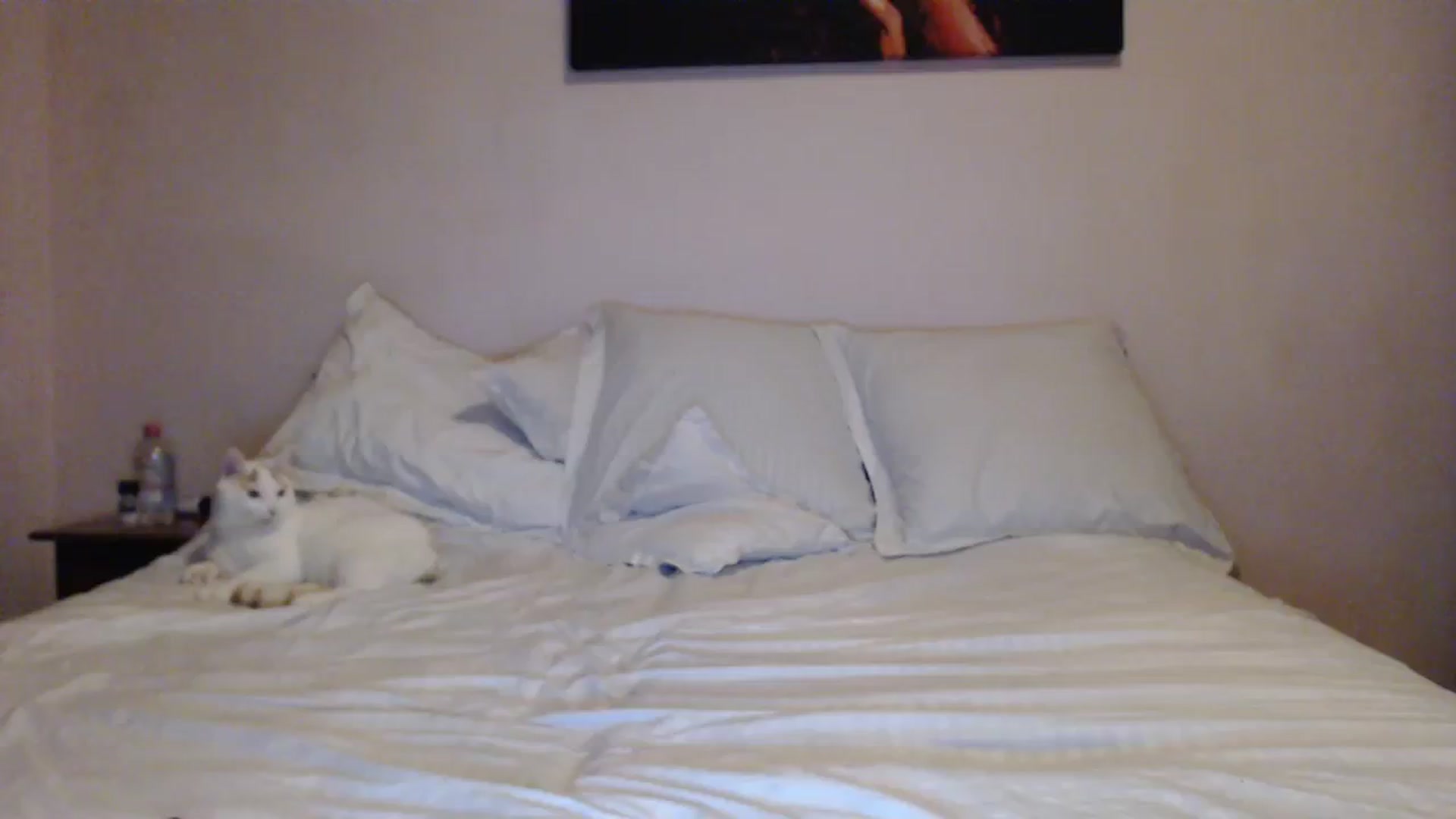 Gallery image thumbnail from Aahh_Emilia's myfreecams stream on, 01/14/2024, 18:40 image 17 of 20