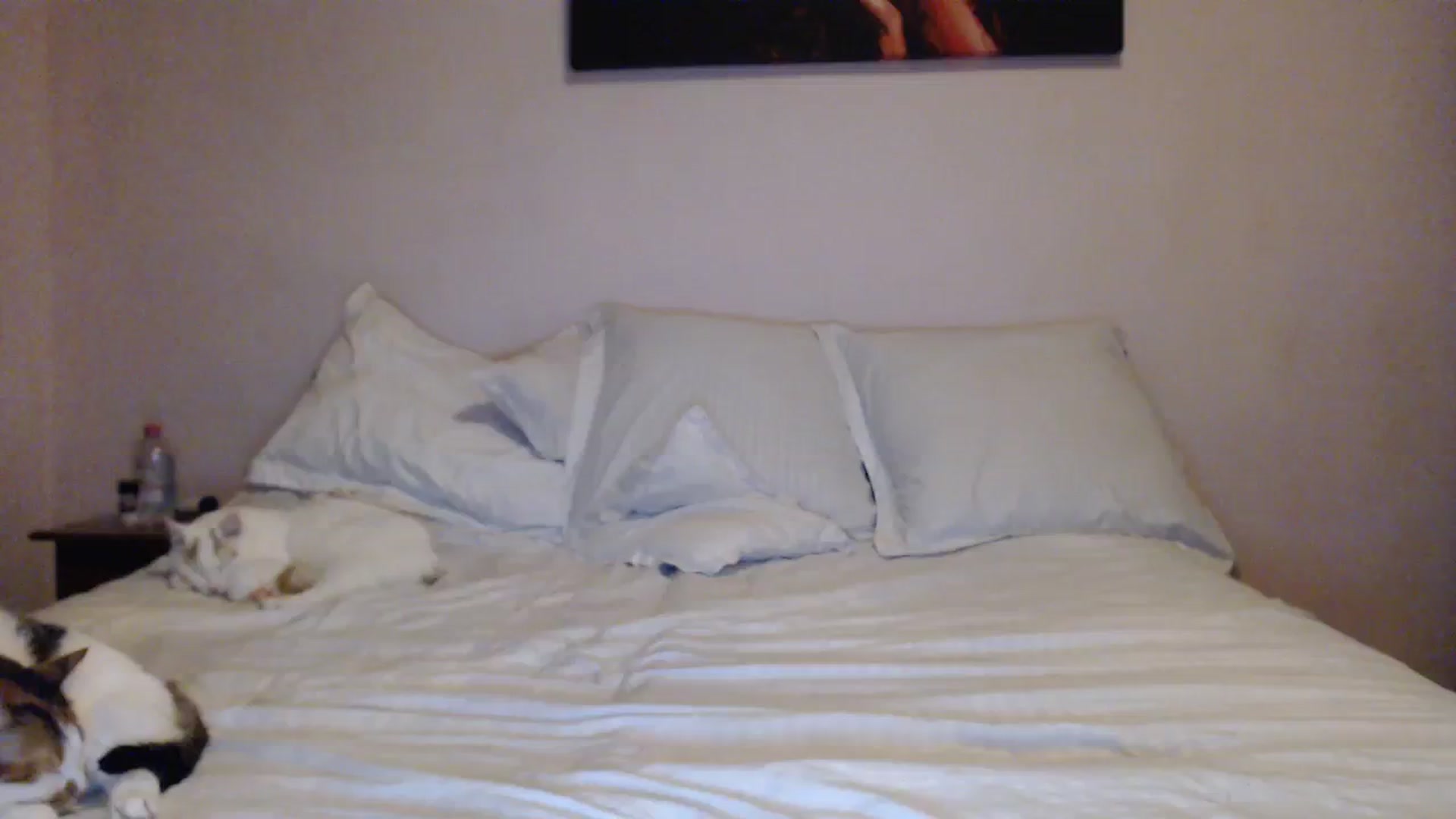 Gallery image thumbnail from Aahh_Emilia's myfreecams stream on, 01/14/2024, 18:40 image 18 of 20