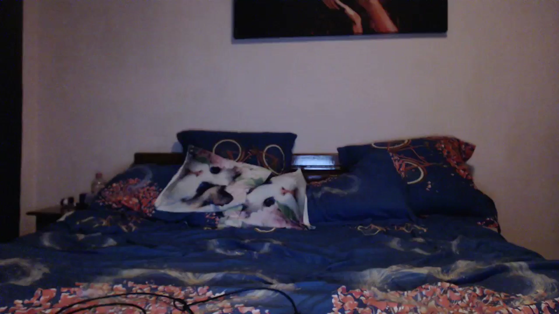 Gallery image thumbnail from Aahh_Emilia's myfreecams stream on, 01/20/2024, 16:29 image 7 of 20