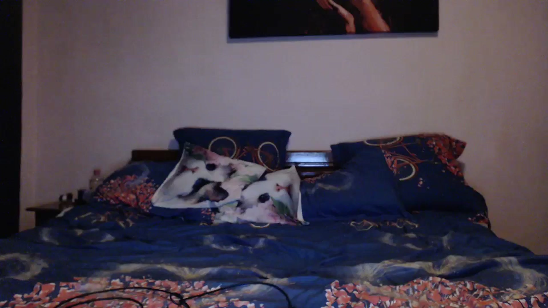 Gallery image thumbnail from Aahh_Emilia's myfreecams stream on, 01/20/2024, 16:29 image 8 of 20