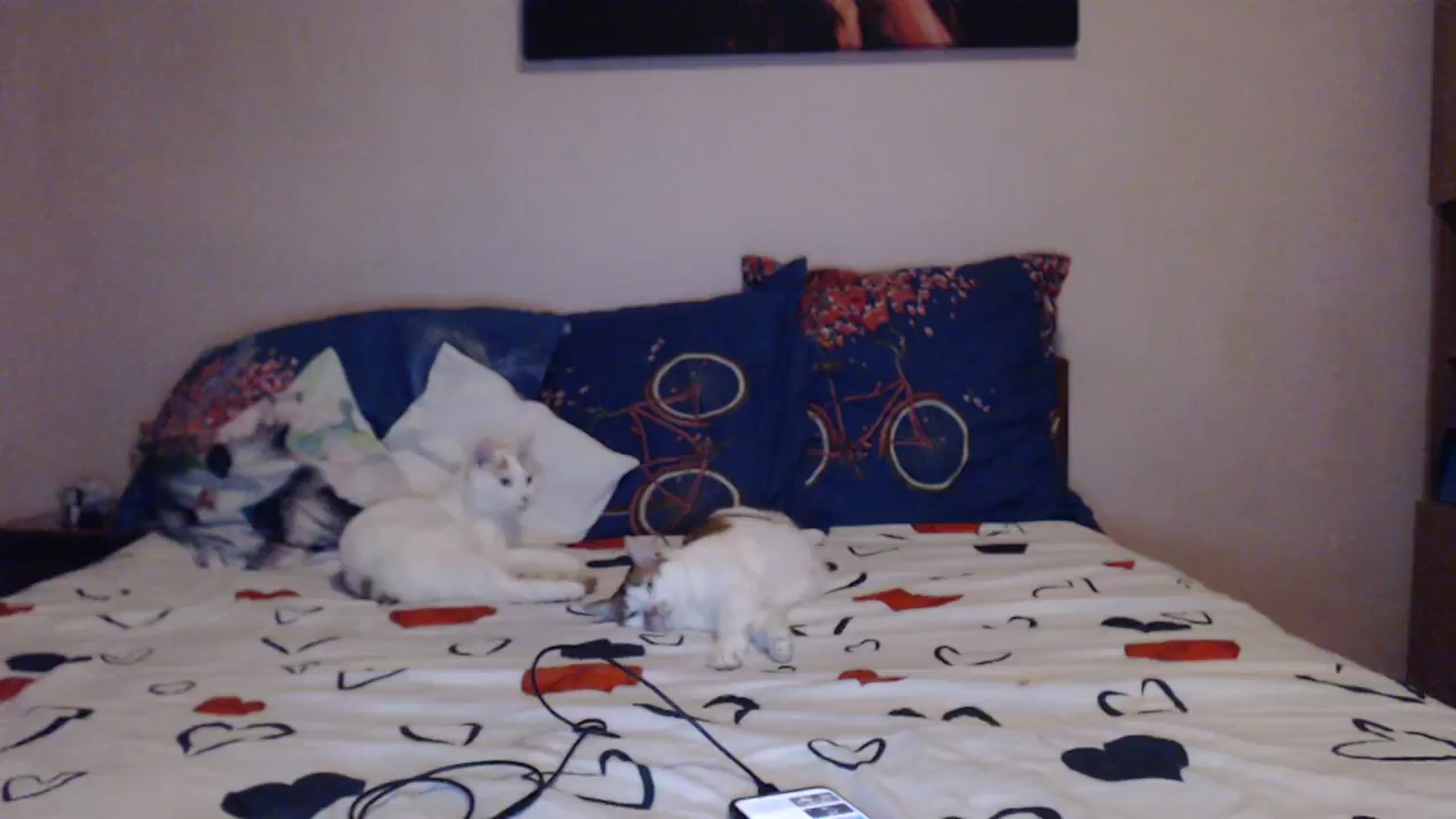Gallery image thumbnail from Aahh_Emilia's myfreecams stream on, 01/24/2024, 16:19 image 18 of 20