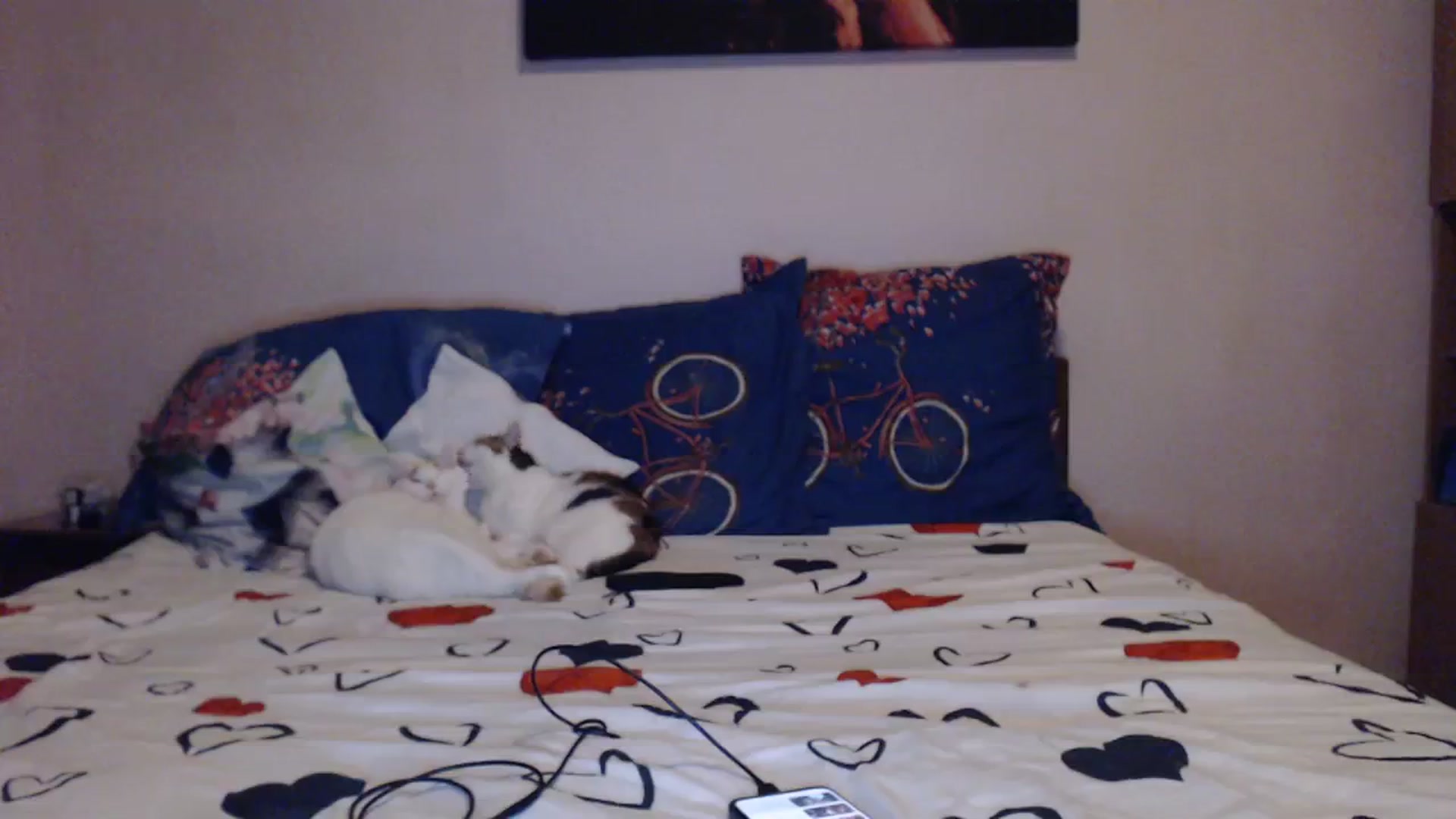 Gallery image thumbnail from Aahh_Emilia's myfreecams stream on, 01/24/2024, 16:19 image 16 of 20