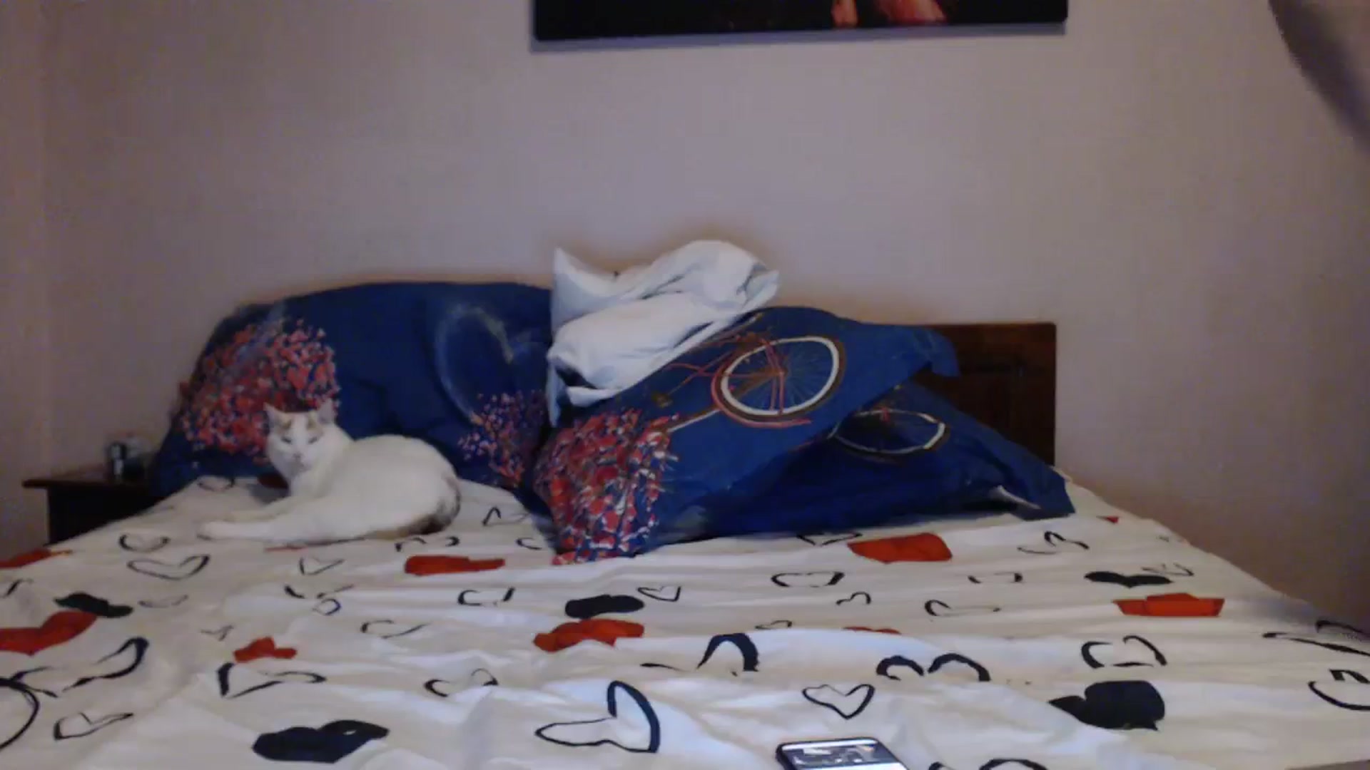 Gallery image thumbnail from Aahh_Emilia's myfreecams stream on, 01/24/2024, 19:01 image 17 of 20