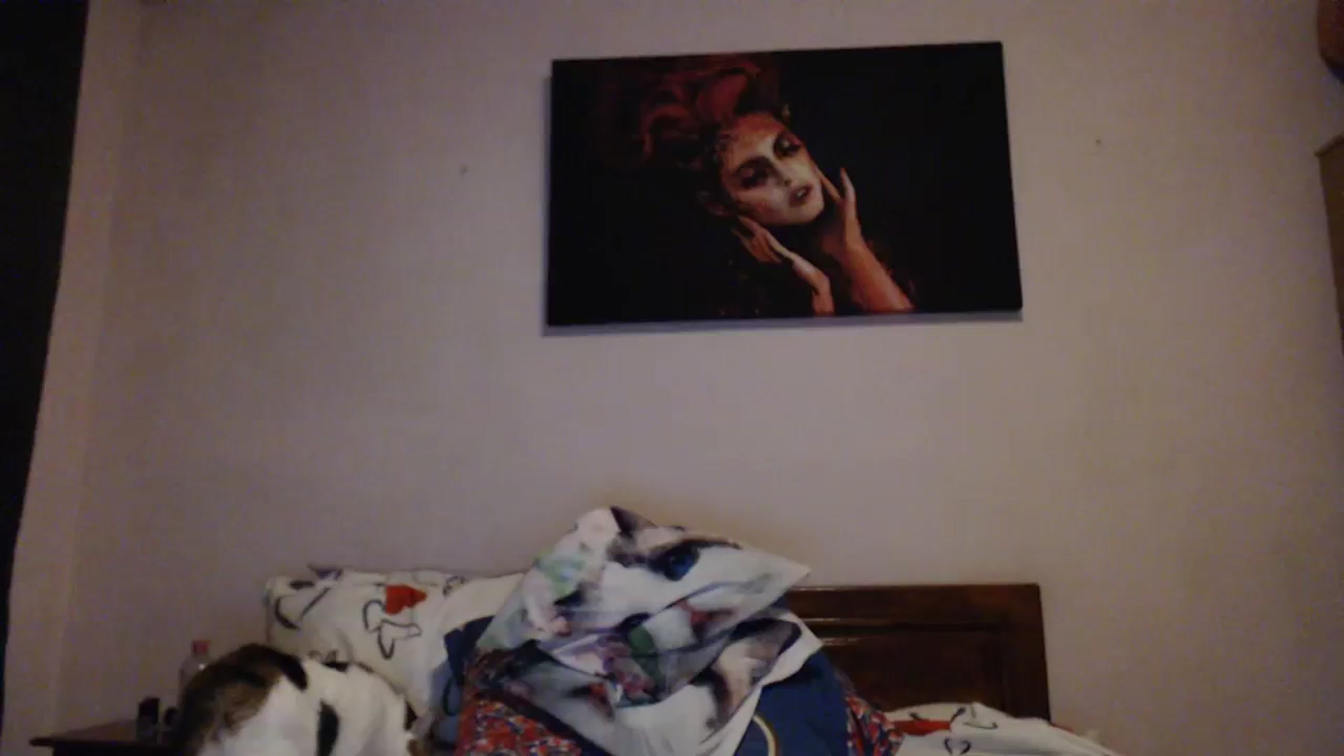 Gallery image thumbnail from Aahh_Emilia's myfreecams stream on, 01/26/2024, 18:14 image 11 of 20