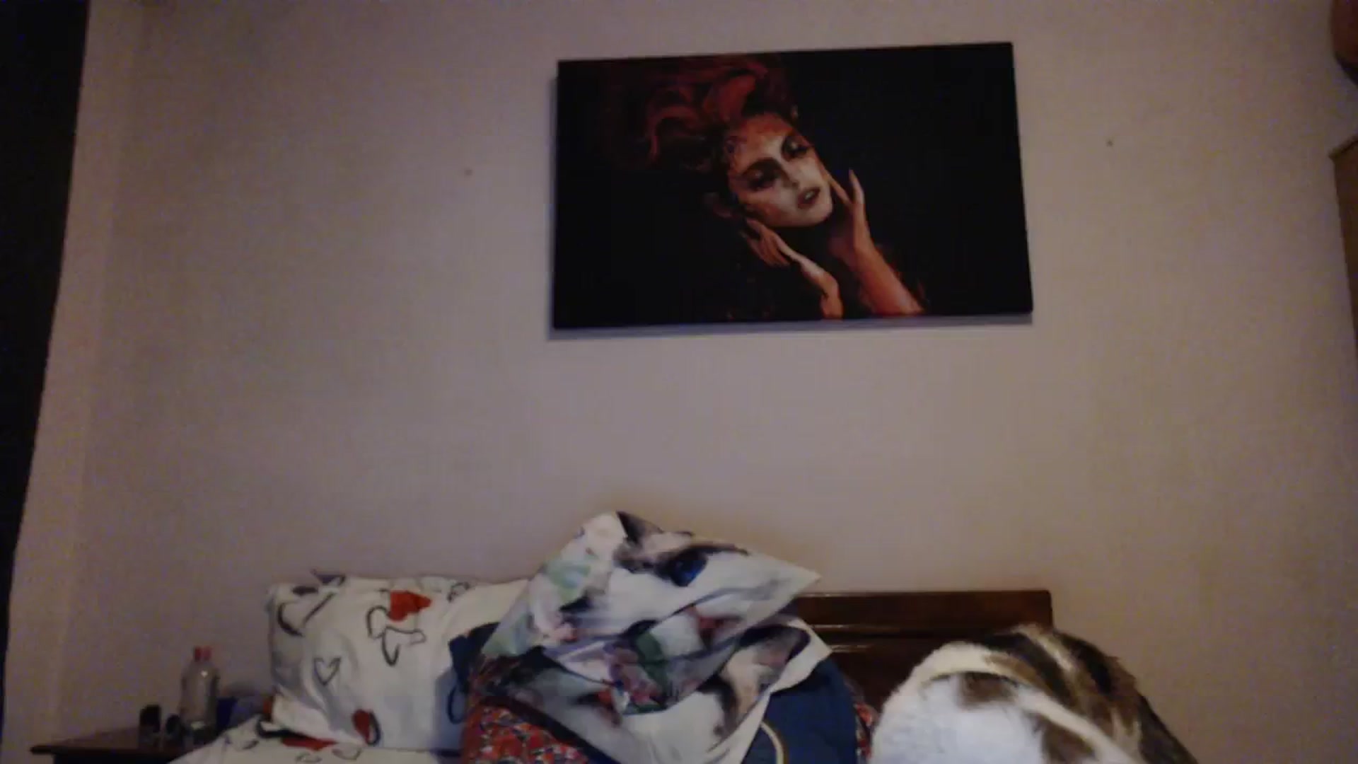 Gallery image thumbnail from Aahh_Emilia's myfreecams stream on, 01/26/2024, 18:14 image 10 of 20