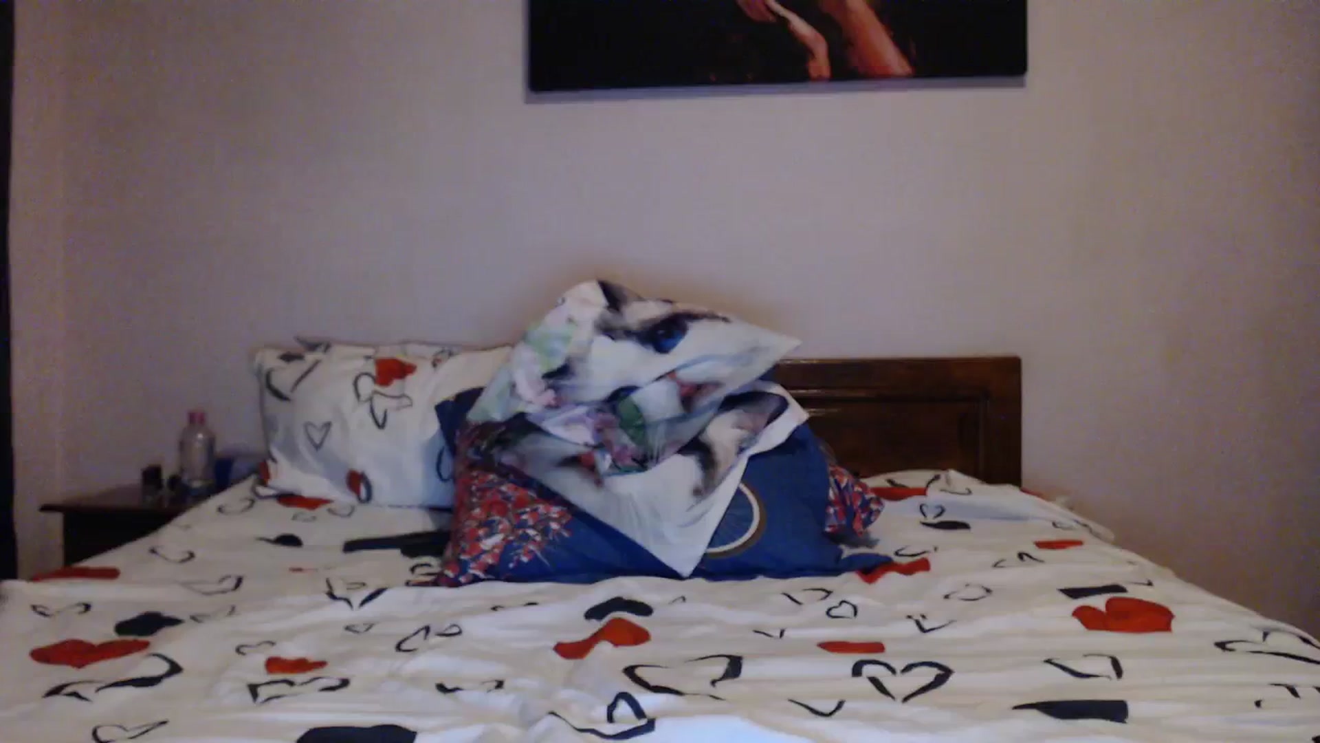 Gallery image thumbnail from Aahh_Emilia's myfreecams stream on, 01/26/2024, 19:03 image 1 of 20