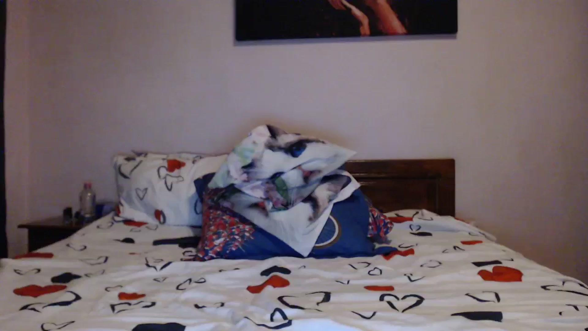Gallery image thumbnail from Aahh_Emilia's myfreecams stream on, 01/26/2024, 19:03 image 4 of 20