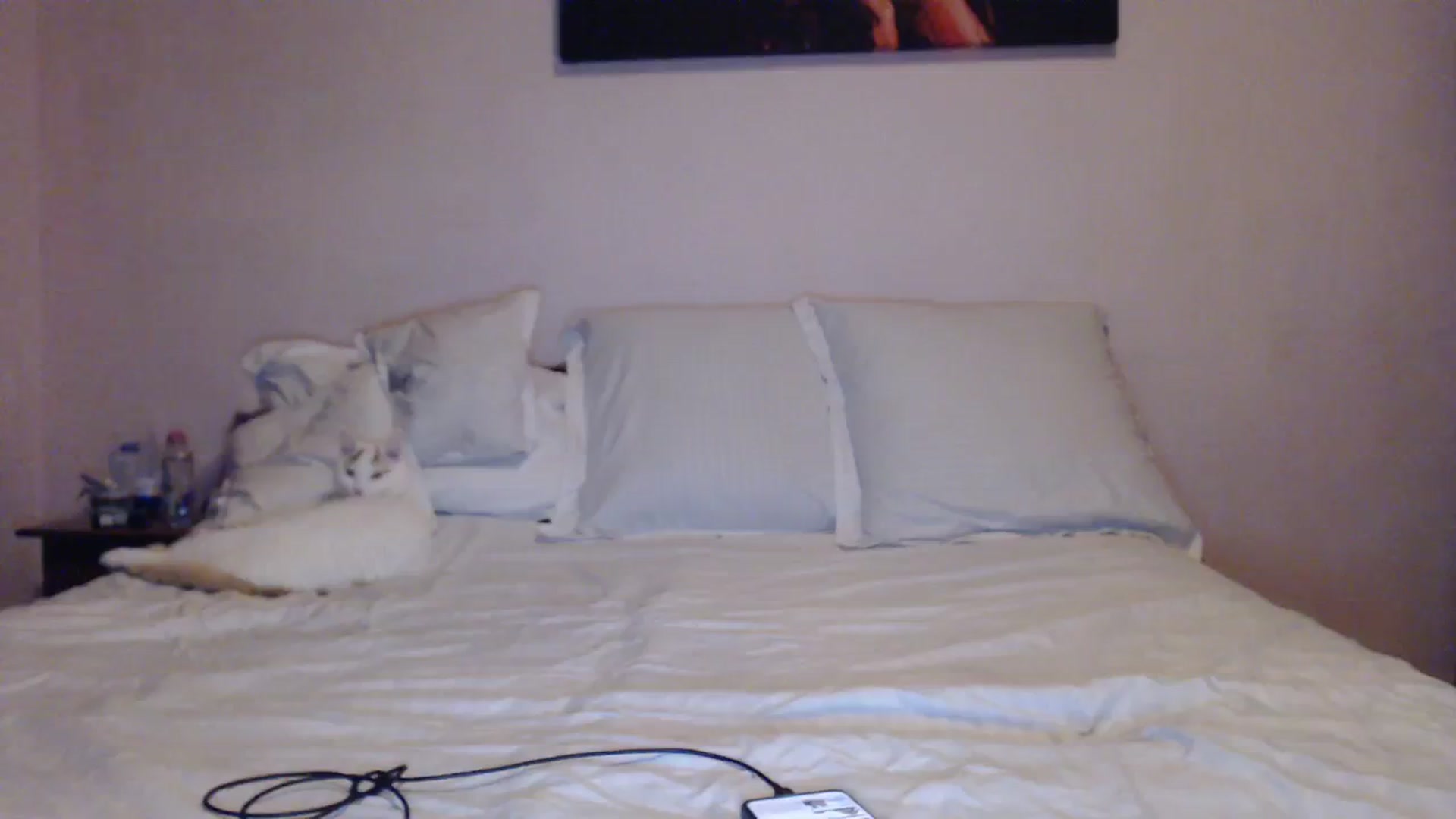 Gallery image thumbnail from Aahh_Emilia's myfreecams stream on, 01/29/2024, 16:02 image 3 of 20