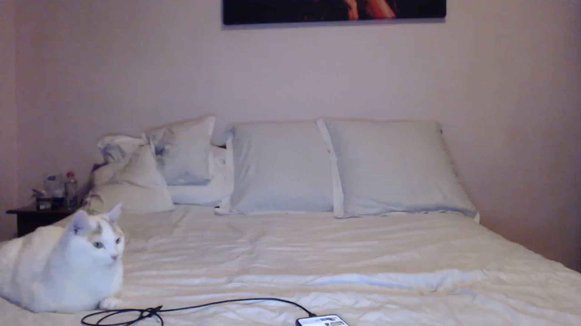 Gallery image thumbnail from Aahh_Emilia's myfreecams stream on, 01/29/2024, 16:02 image 8 of 20