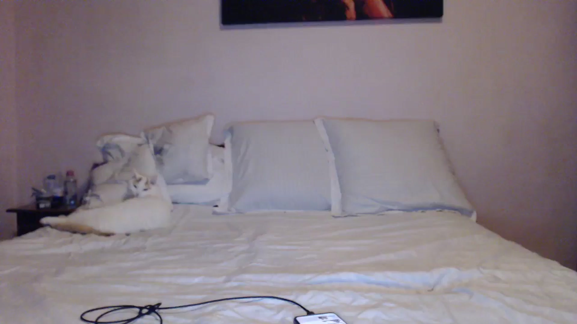 Gallery image thumbnail from Aahh_Emilia's myfreecams stream on, 01/29/2024, 16:02 image 2 of 20