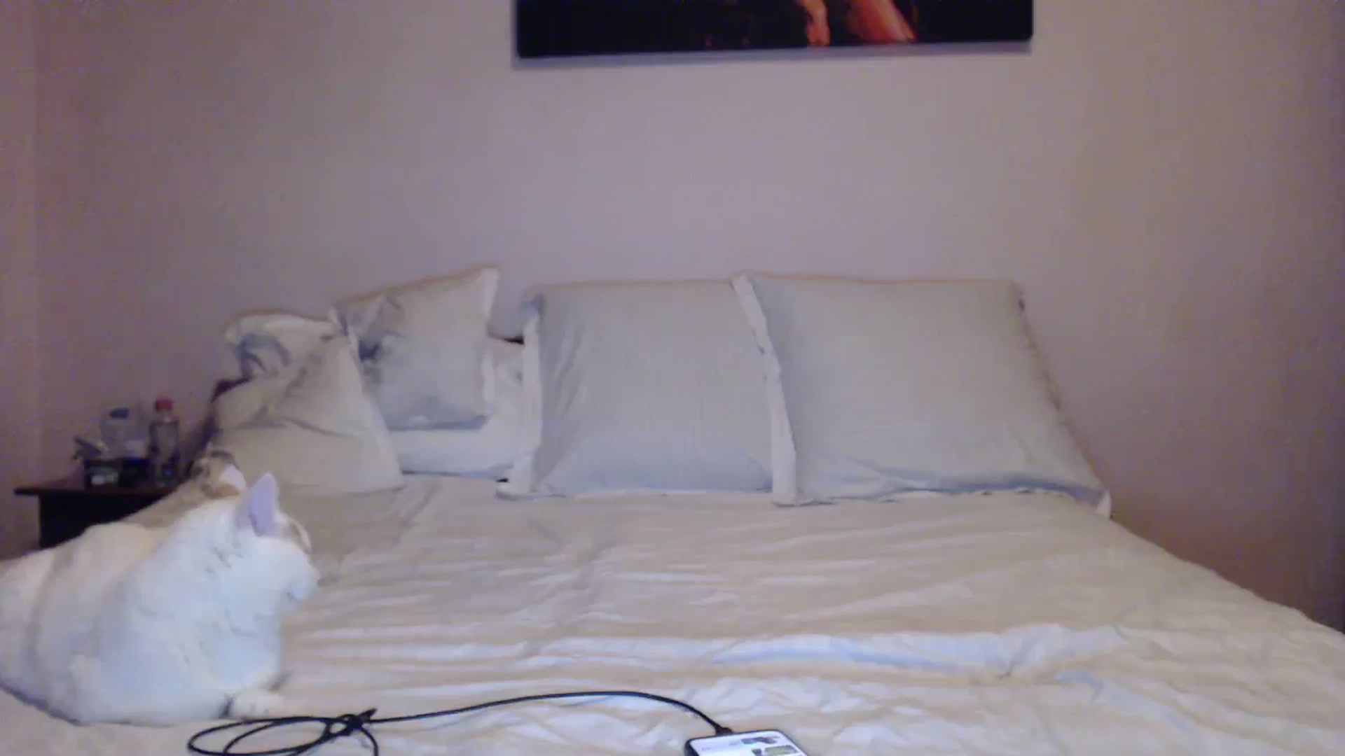 Gallery image thumbnail from Aahh_Emilia's myfreecams stream on, 01/29/2024, 16:02 image 6 of 20