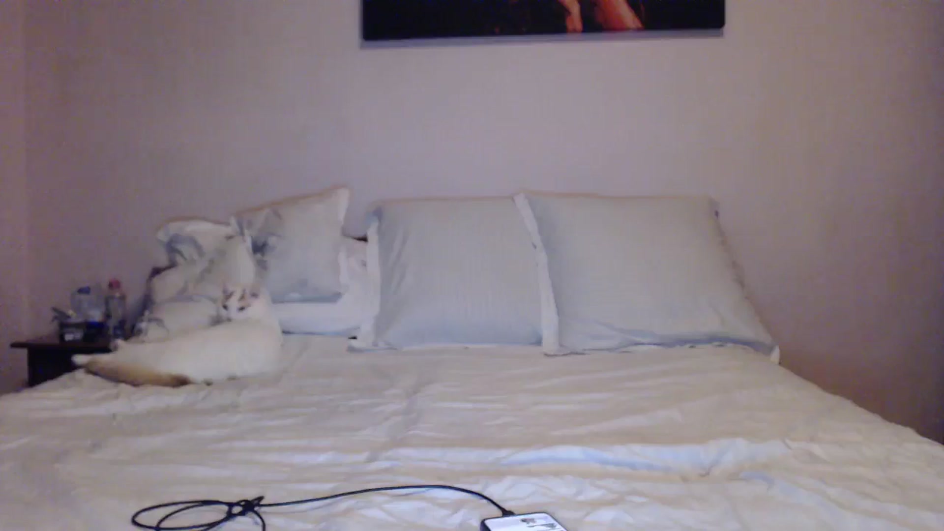 Gallery image thumbnail from Aahh_Emilia's myfreecams stream on, 01/29/2024, 16:02 image 4 of 20