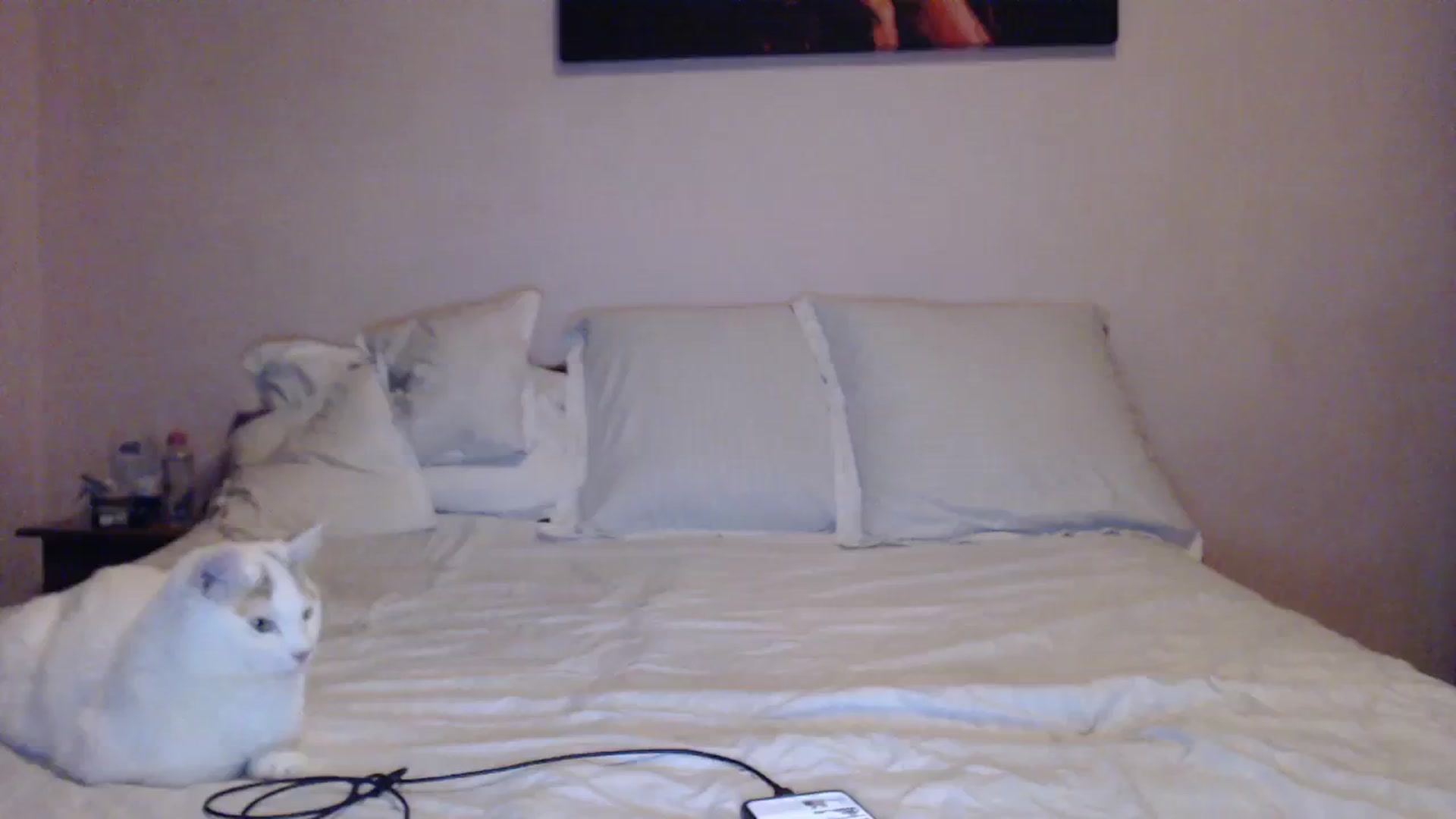Gallery image thumbnail from Aahh_Emilia's myfreecams stream on, 01/29/2024, 16:02 image 5 of 20